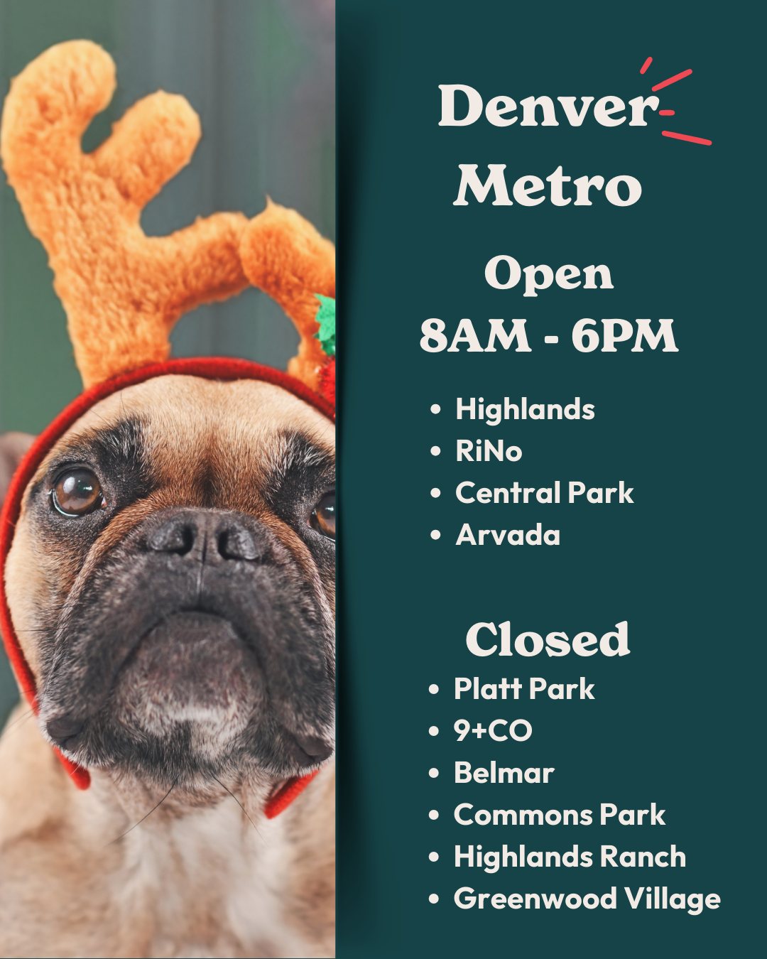 Sploot Veterinary Care - Roscoe Village Chicago