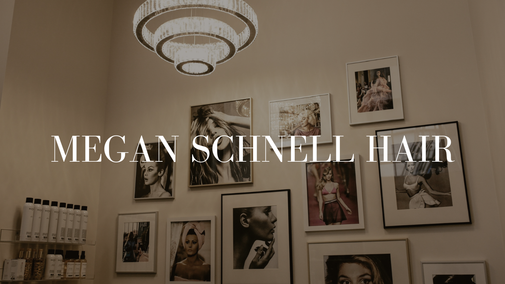 Megan Schnell 520 N Michigan Ave, Third Floor, Suite 105, Chicago Illinois 60611