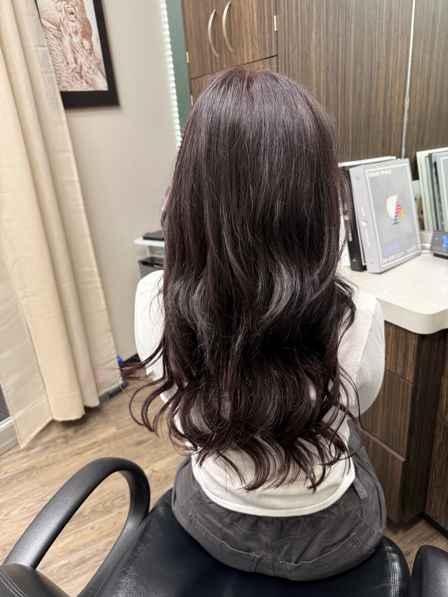 Visionary Hair Salon 3355 N Lincoln Ave Suite 6, Chicago Illinois 60657