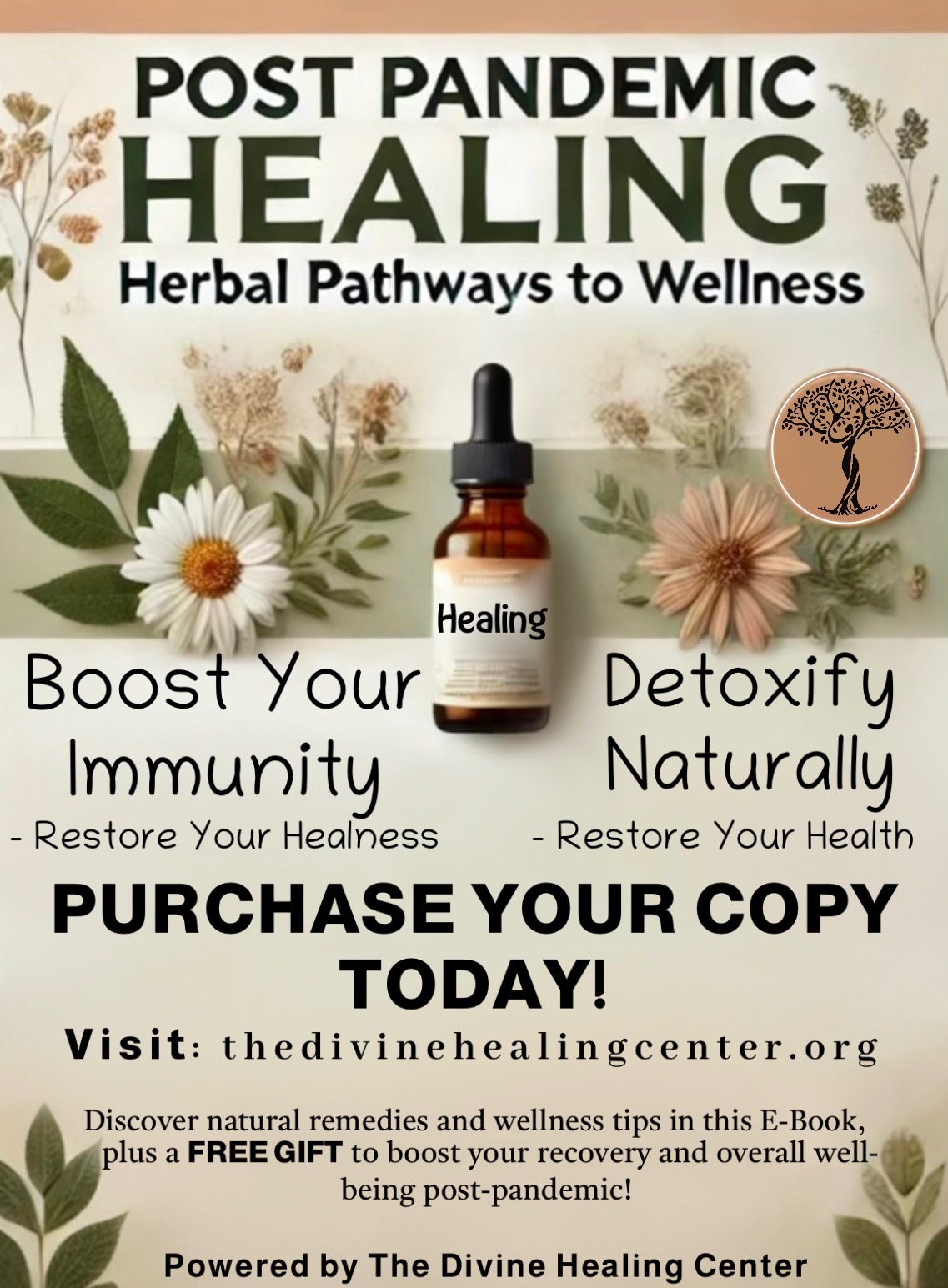 The Divine Healing Center 3200 W 81st St, Chicago Illinois 60652