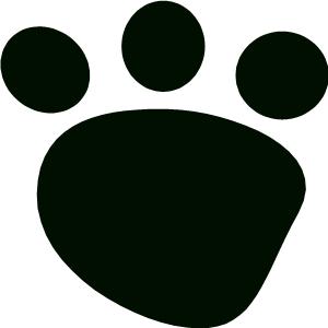 Black Bear Academy Chicago