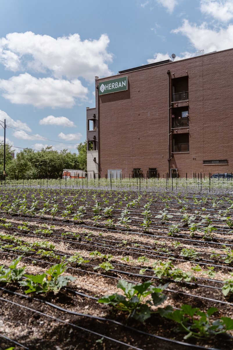 Herban Produce Chicago
