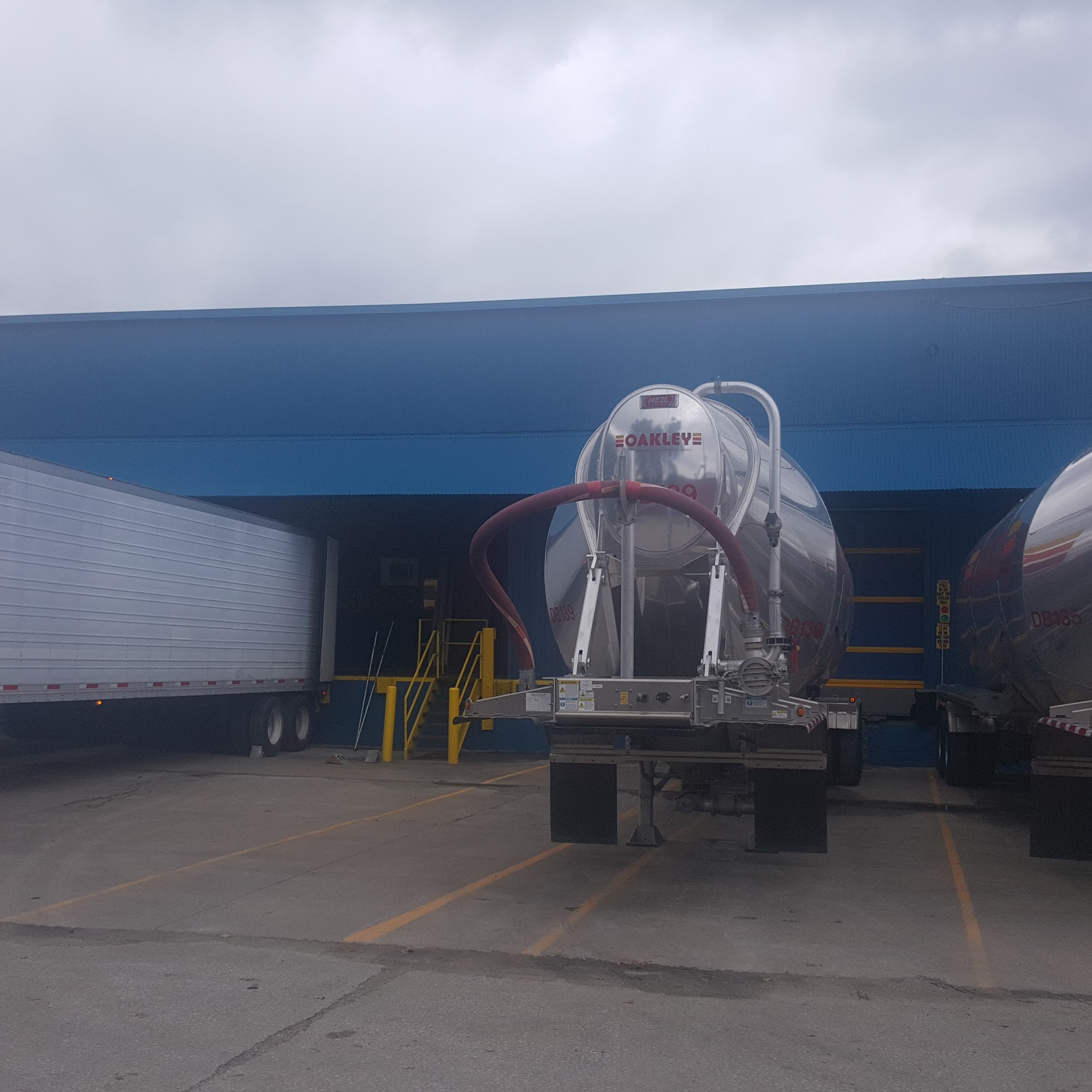 Domino Sugar corporation