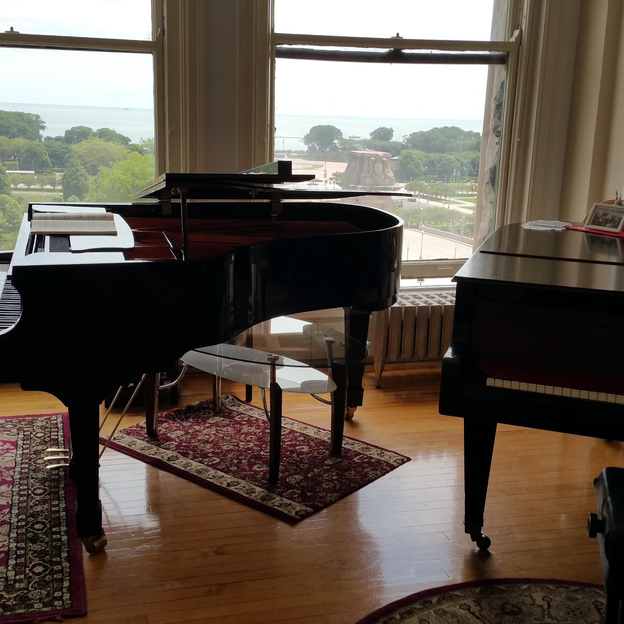 The Art Of Piano Playing & Performing Arts