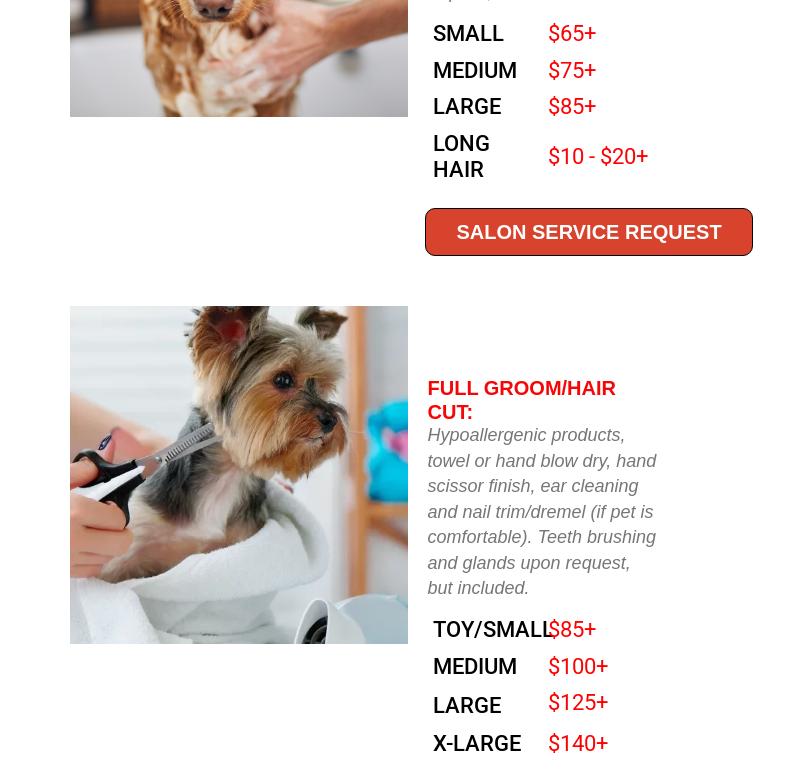 The Bark of the Town Pet Groomery & Spa