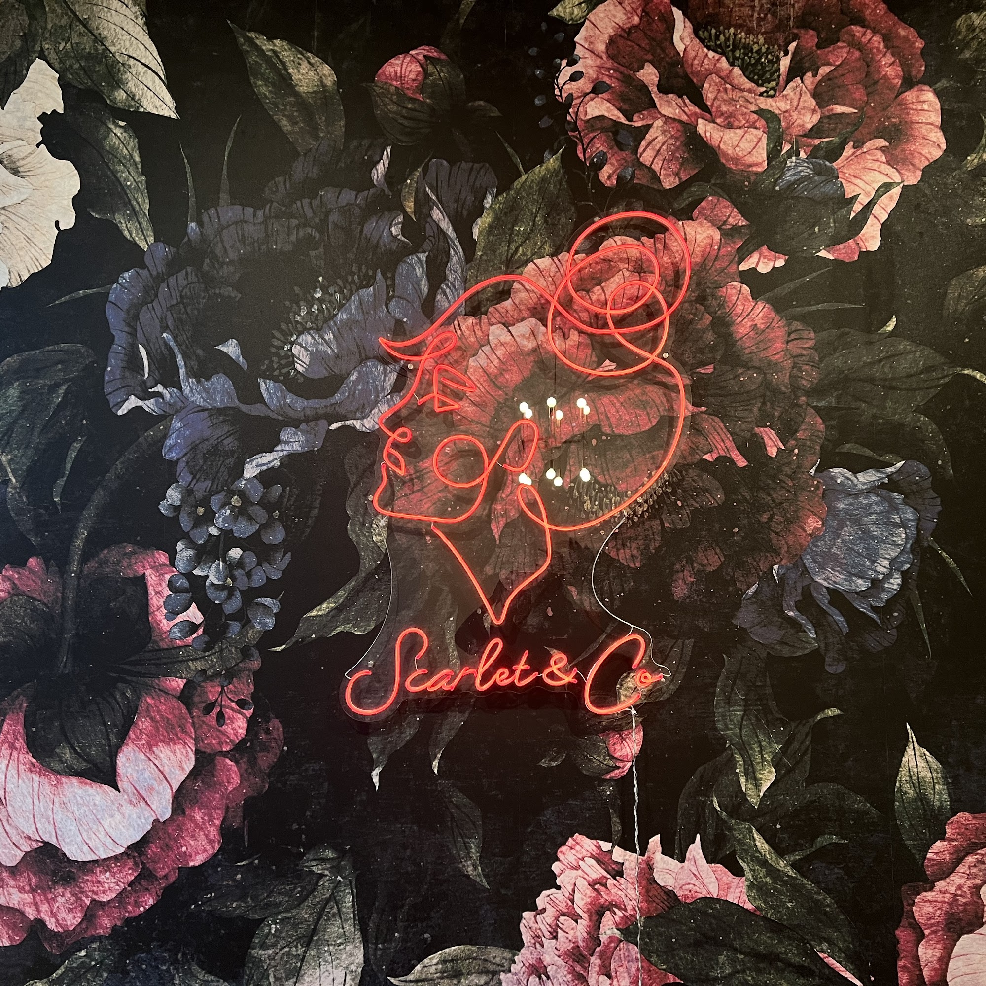 Scarlet & Co 1006 N Clark St, Chicago Illinois 60610