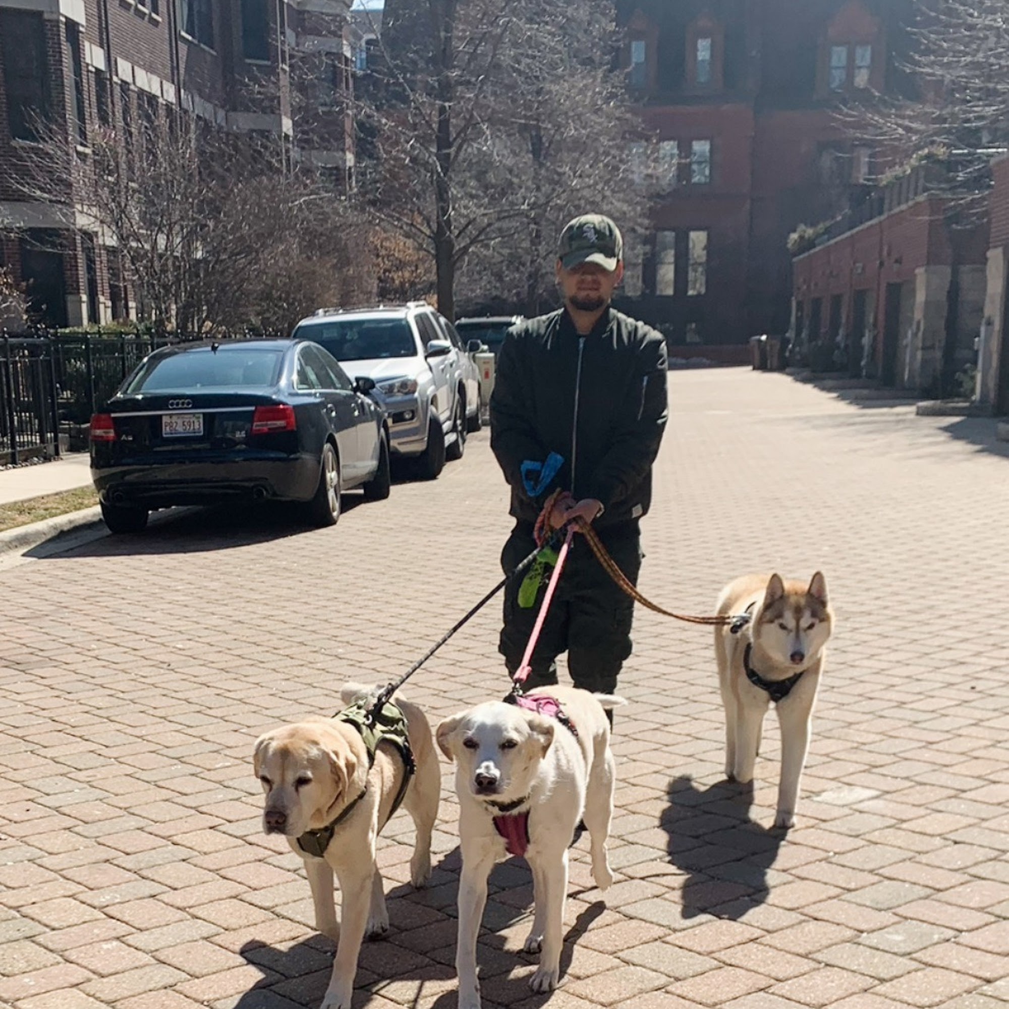 South Loop Pet Care Chicago