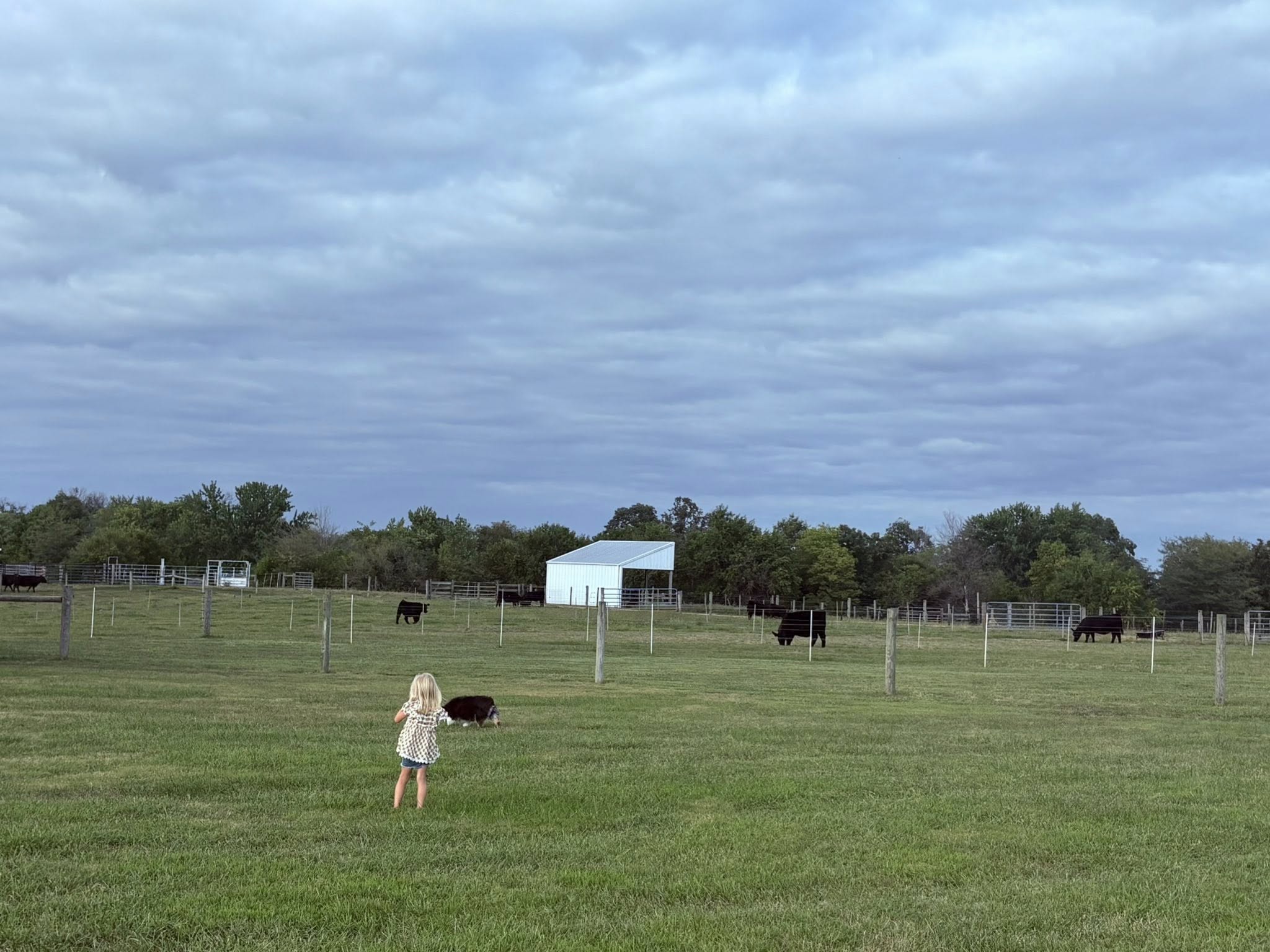 Double Diamond Genetics, Inc