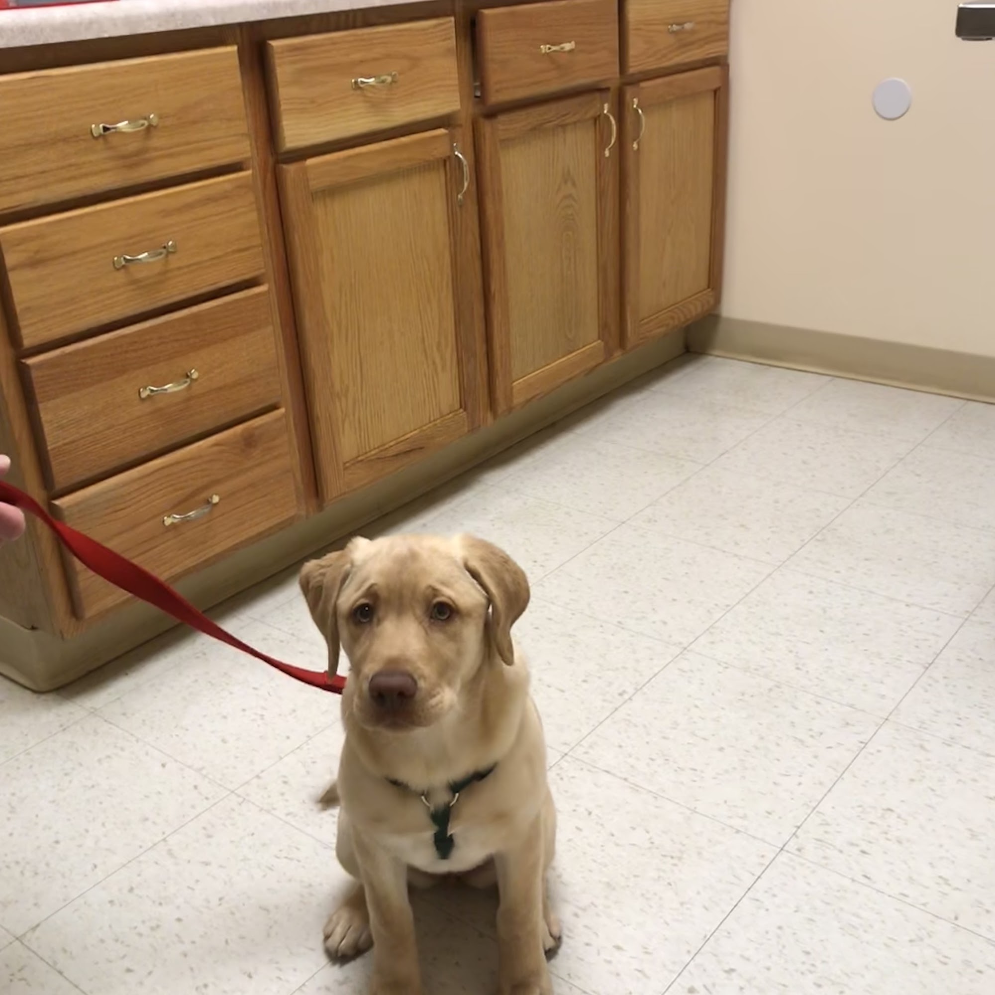 Shirkey Veterinary Clinic Coal City