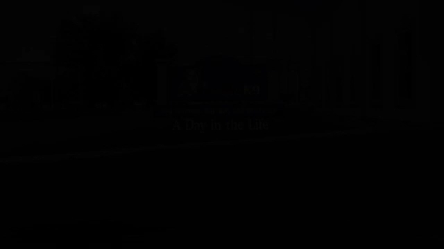 Kranky K9 Dog Training Collinsville