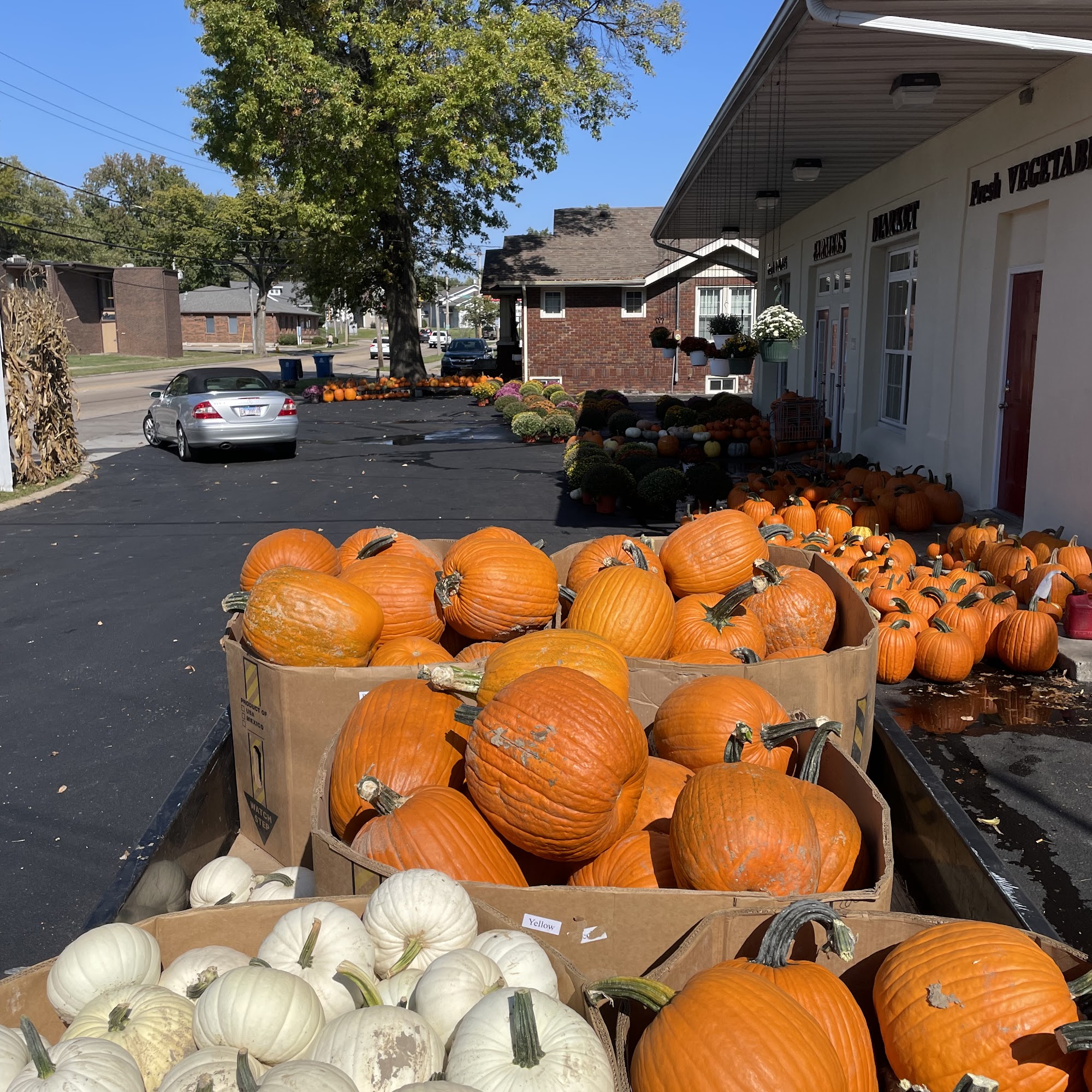 The Collinsville Farmers Market