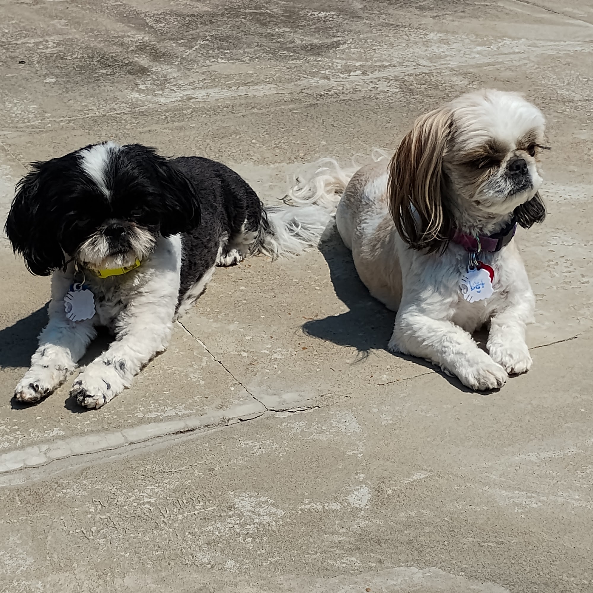 Mueller Veterinary Services Columbia