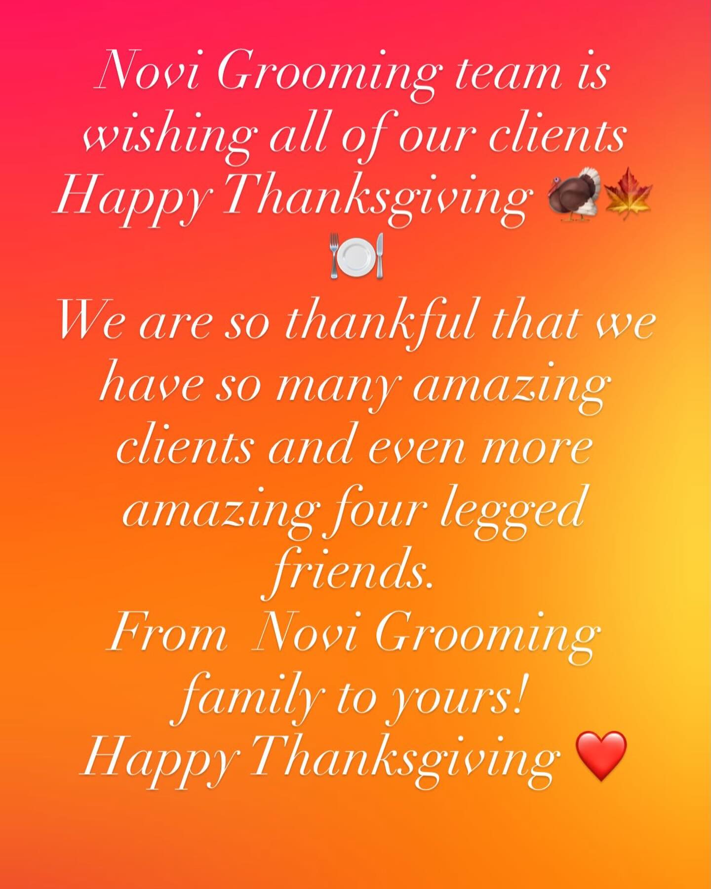 Novi Grooming Countryside