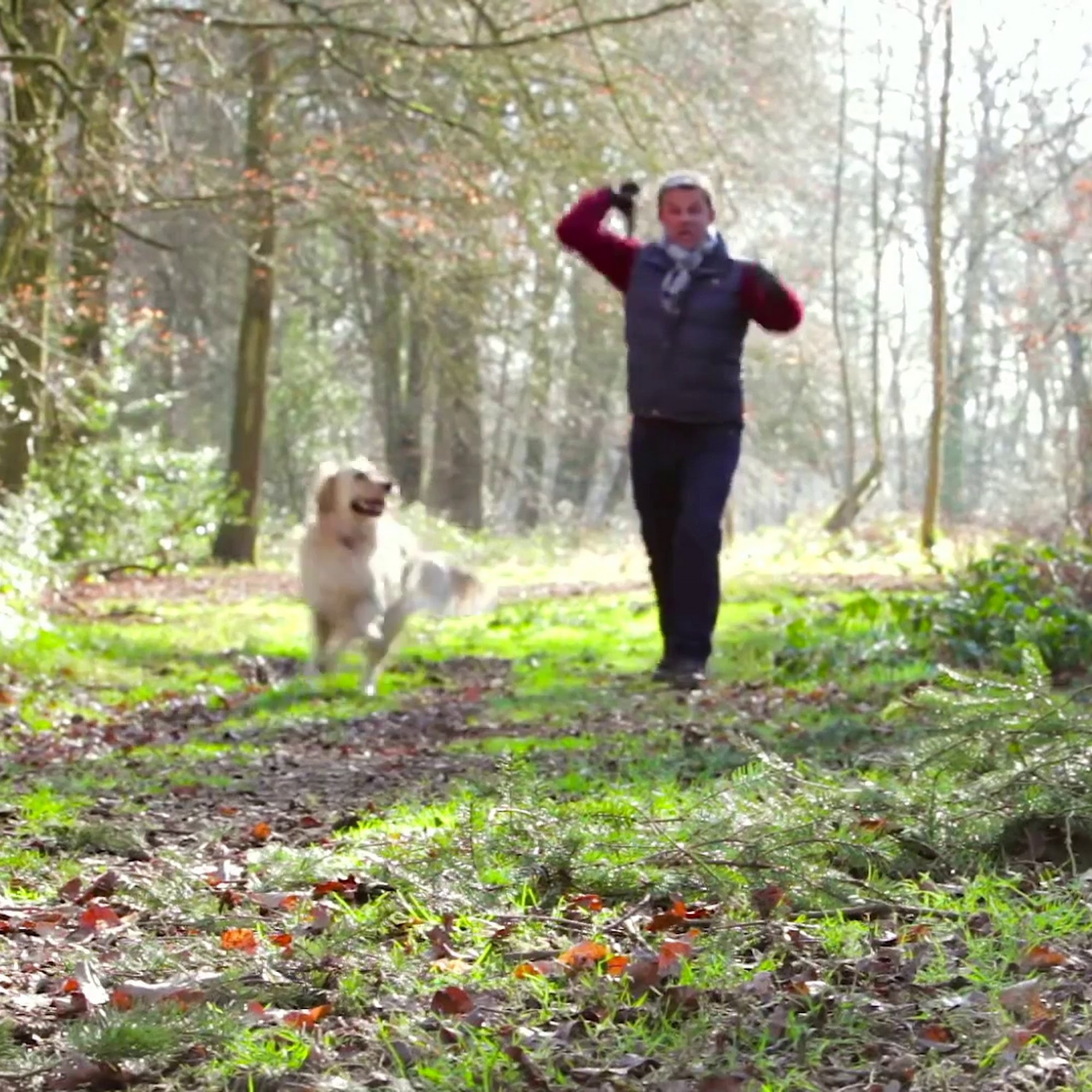 Plum Creek Regional Animal Medical Center Crete