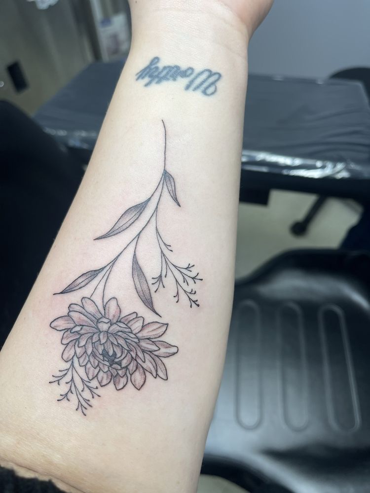 Photo credit: 