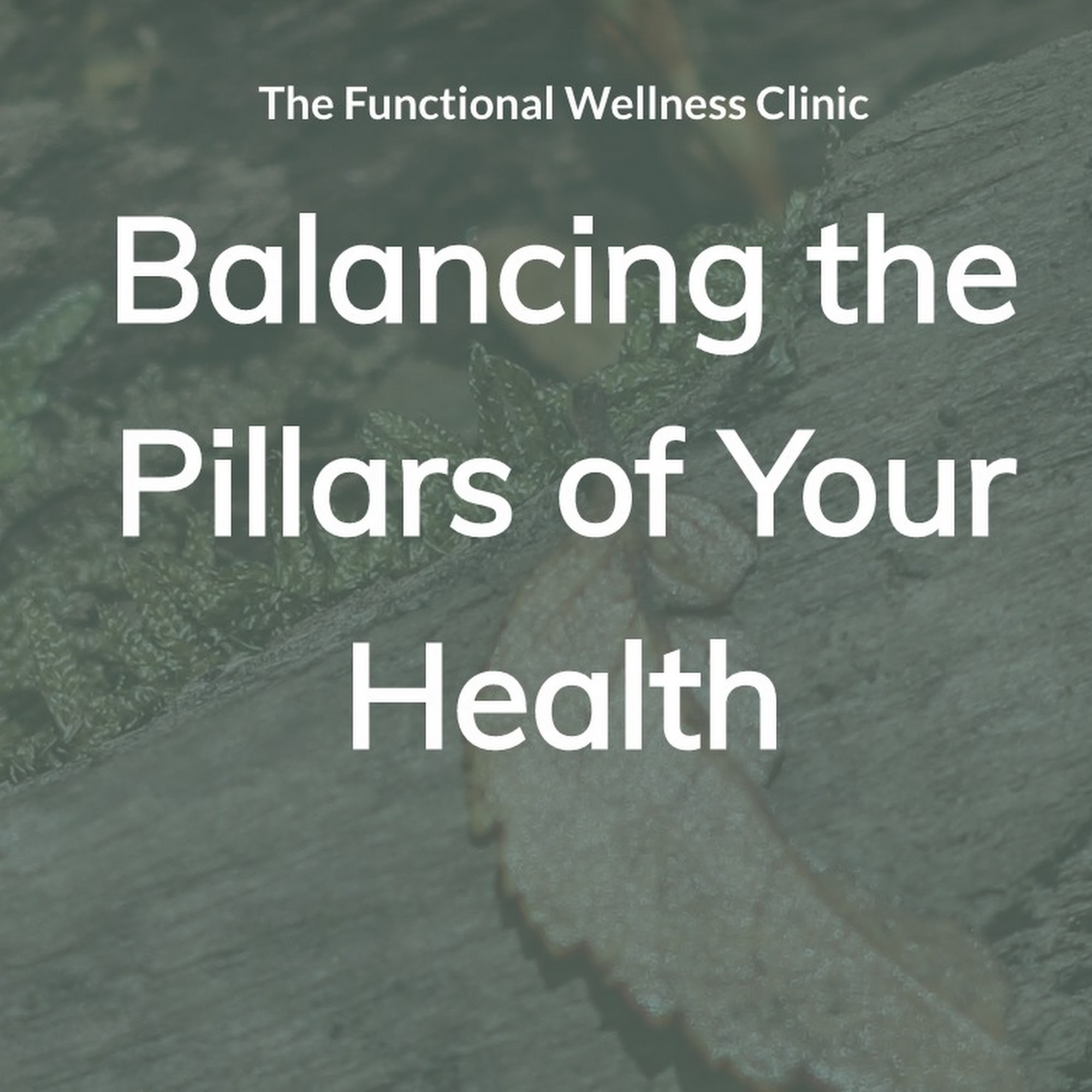 The Functional Wellness Clinic 741 McHenry Ave g, Crystal Lake Illinois 60014