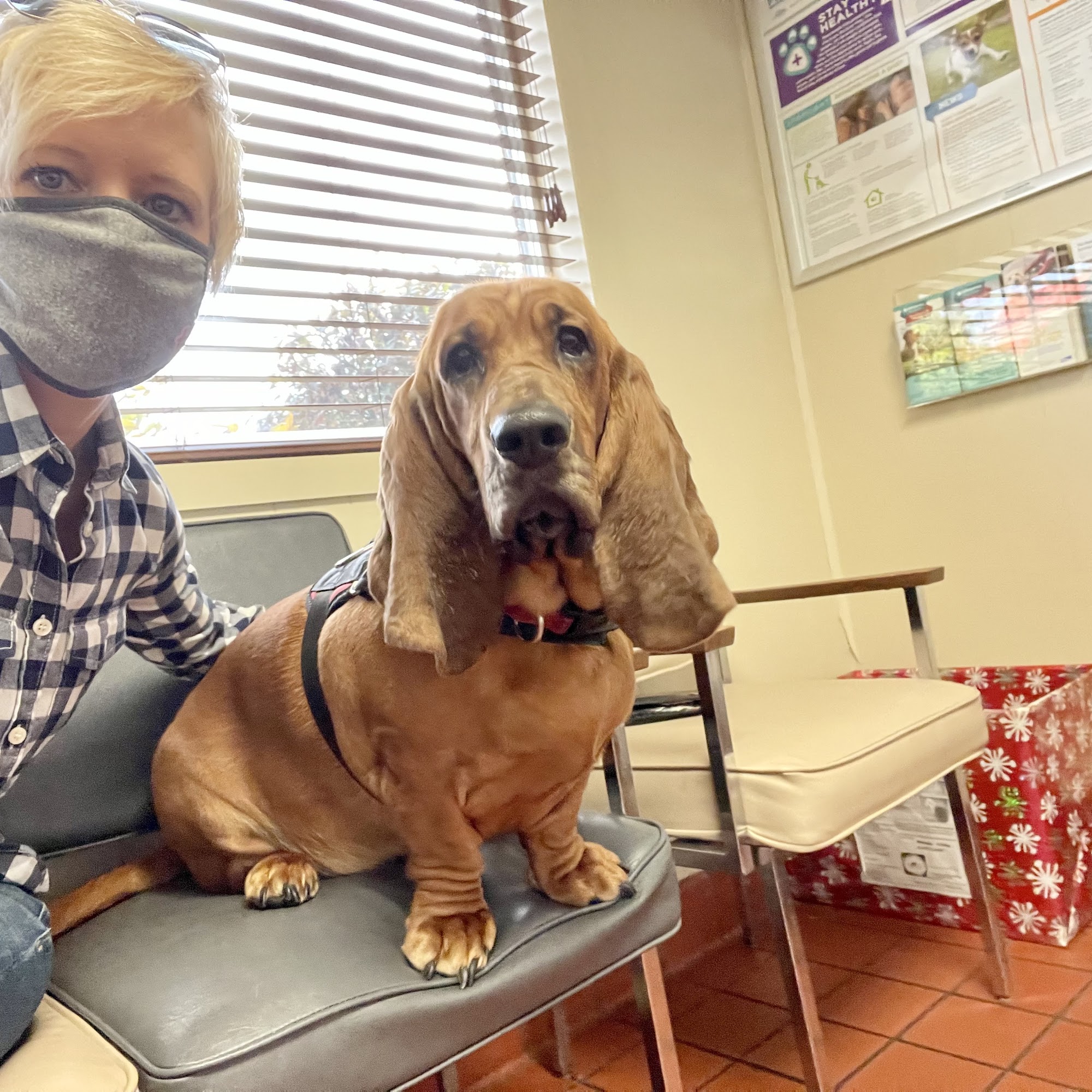 East Lake Hospital for Animals, Ltd. Danville