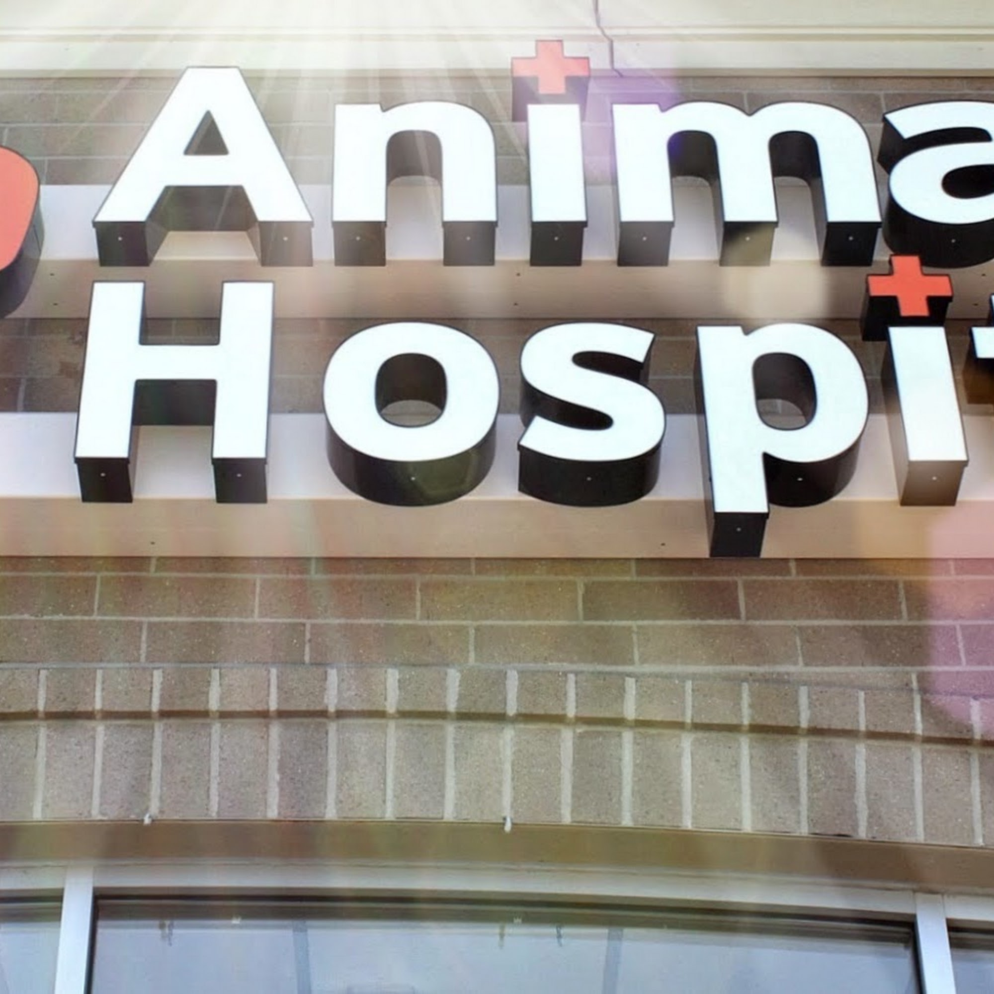 Finan Animal Hospital Darien