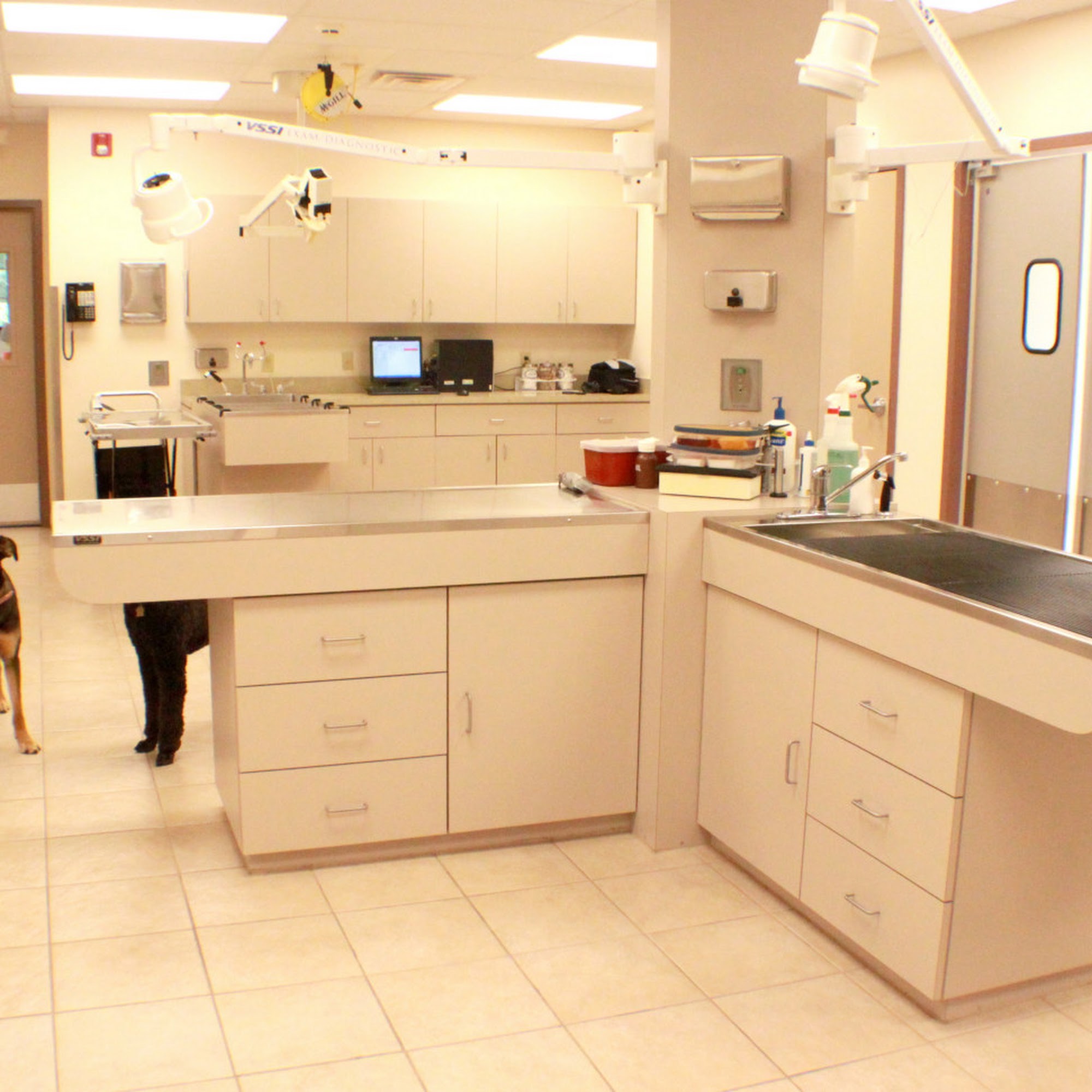 Fairview Hospital for Animals Decatur