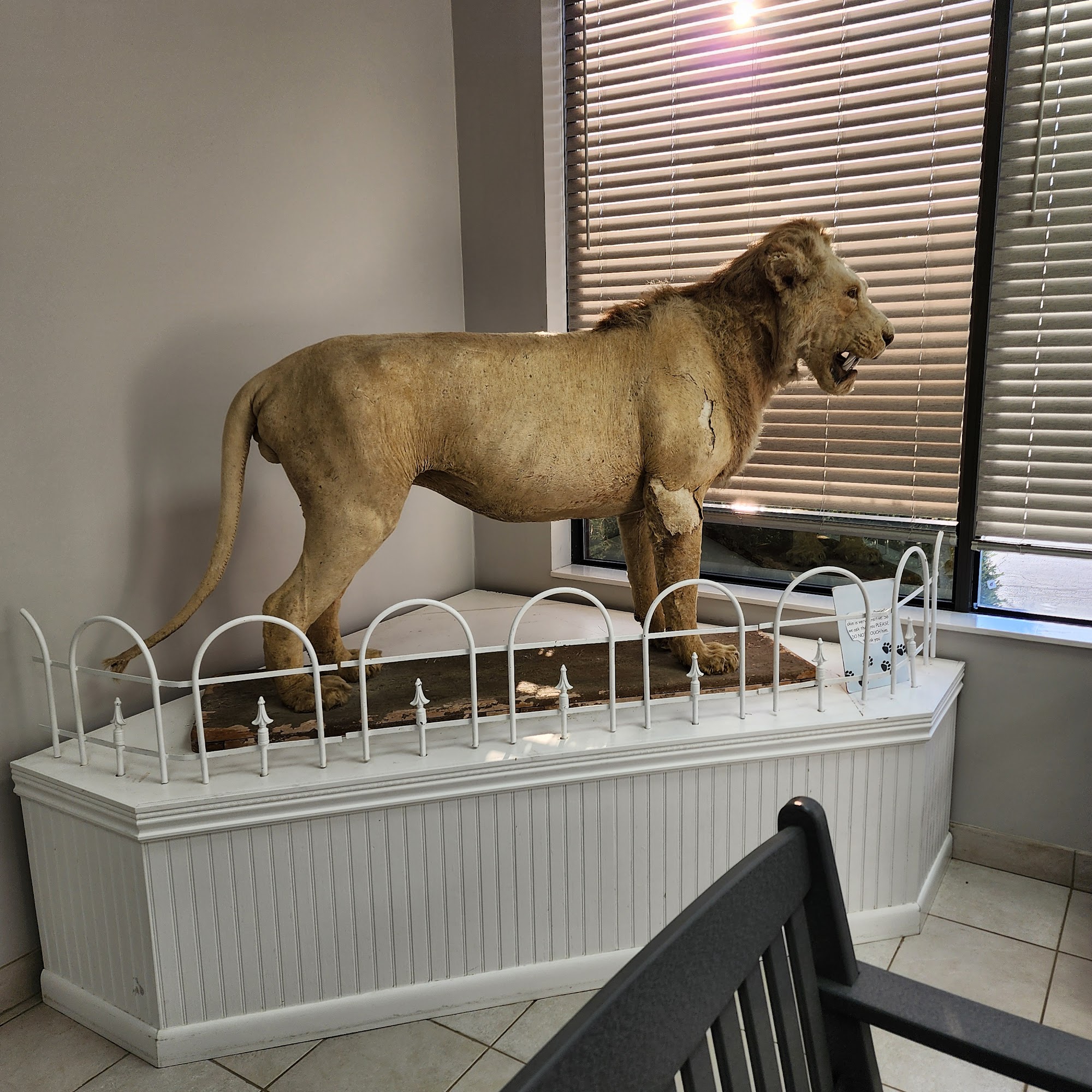 Brush College Animal Hospital Decatur