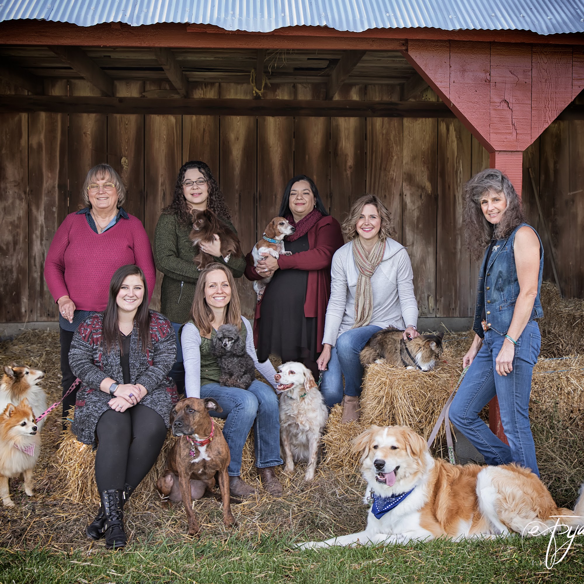 Pawsitively Pets Animal Hospital Decatur