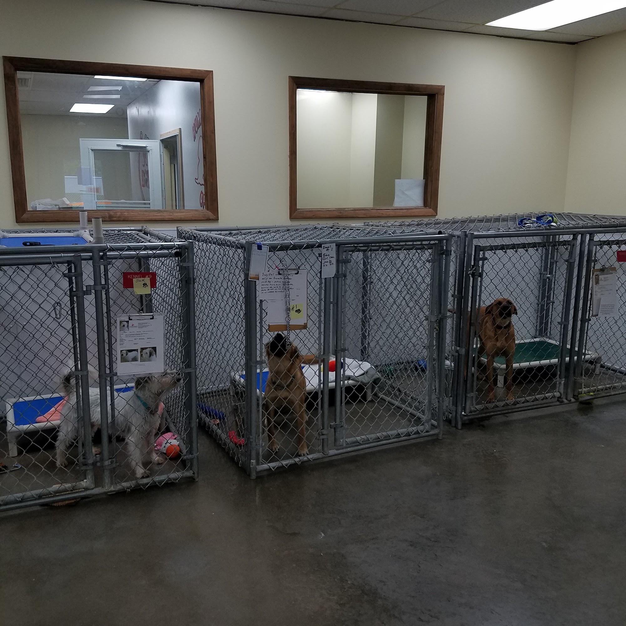 Humane Society of Decatur and Macon County Decatur