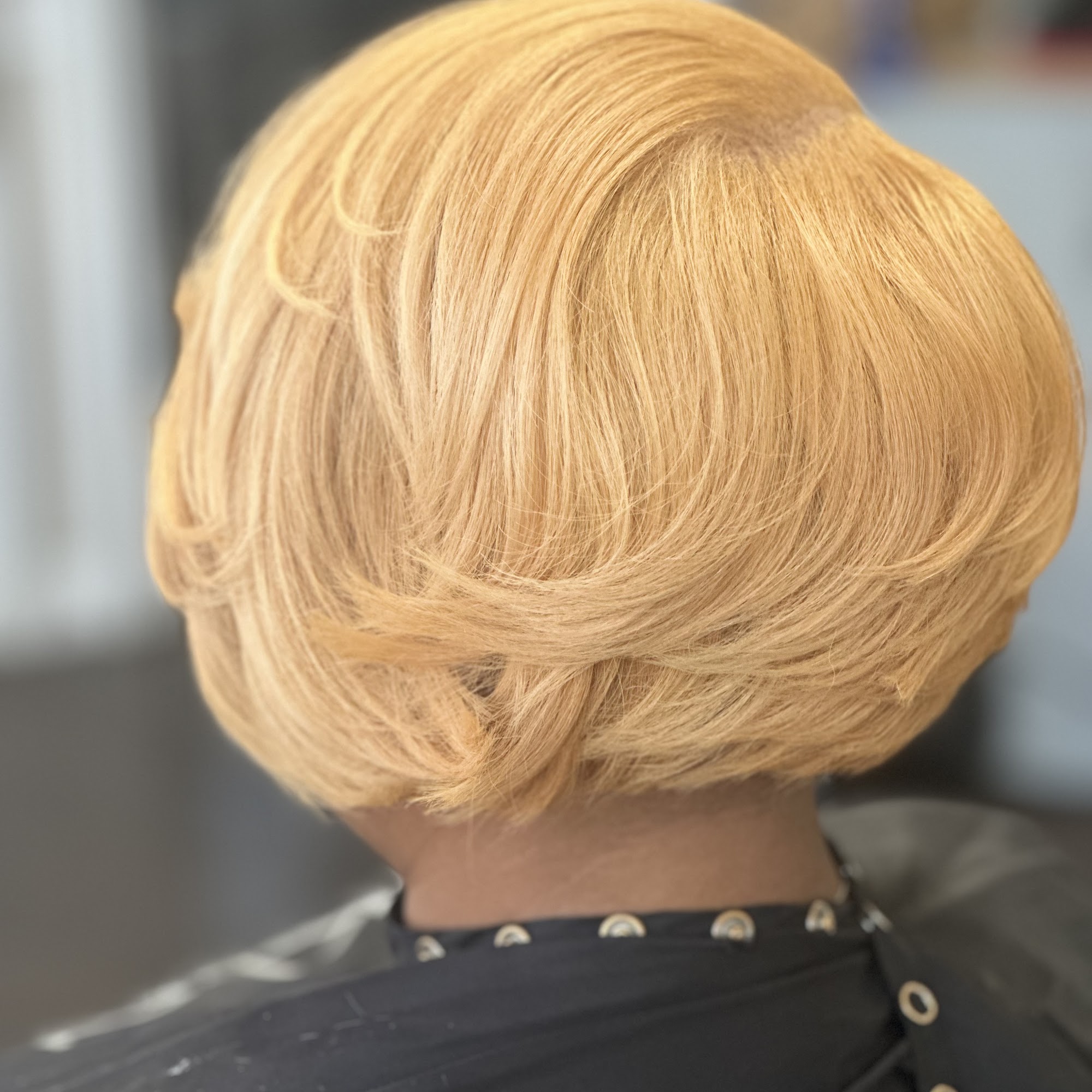 The Absolute Glam House 363 S Main St suite 409, Decatur Illinois 62523