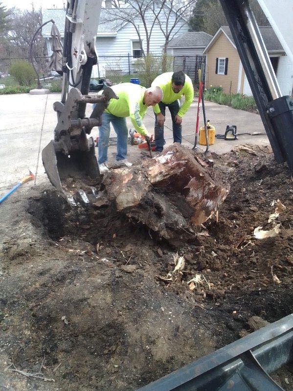 Custom Landscapes Inc.