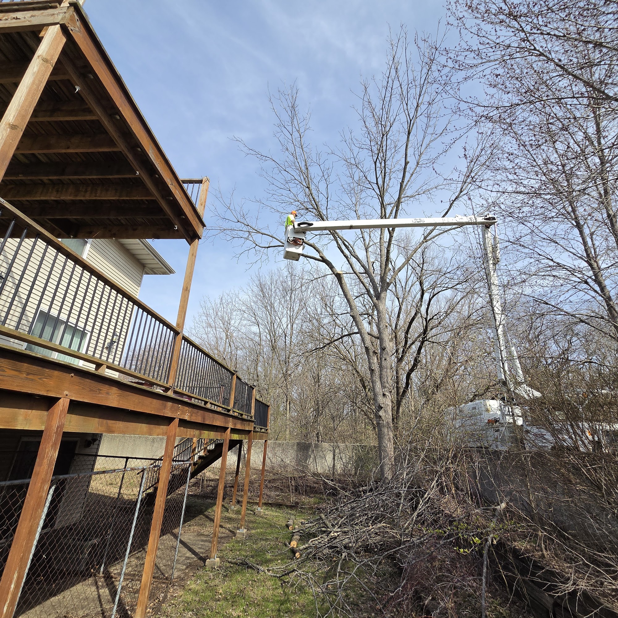 Quality Tree Service