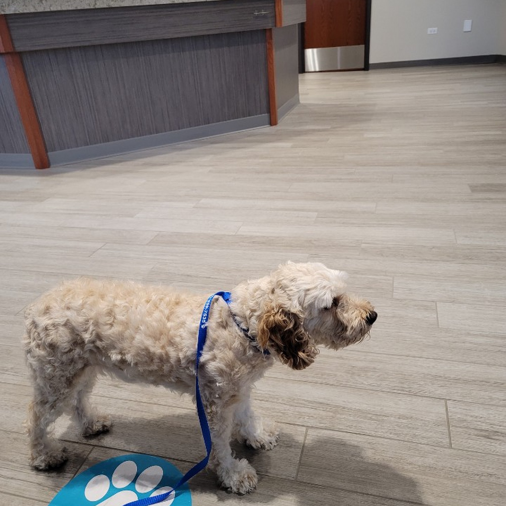 Deerfield Animal Care Center Deerfield