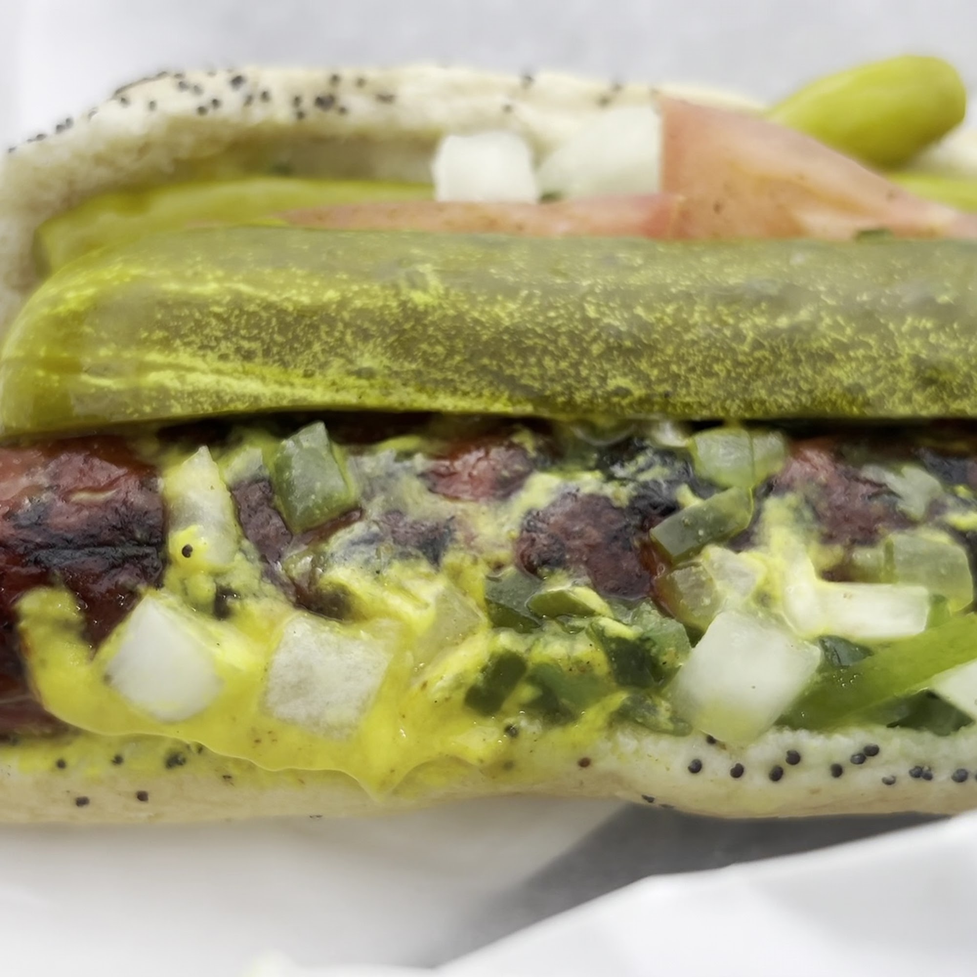 Paradise Pup Des Plaines