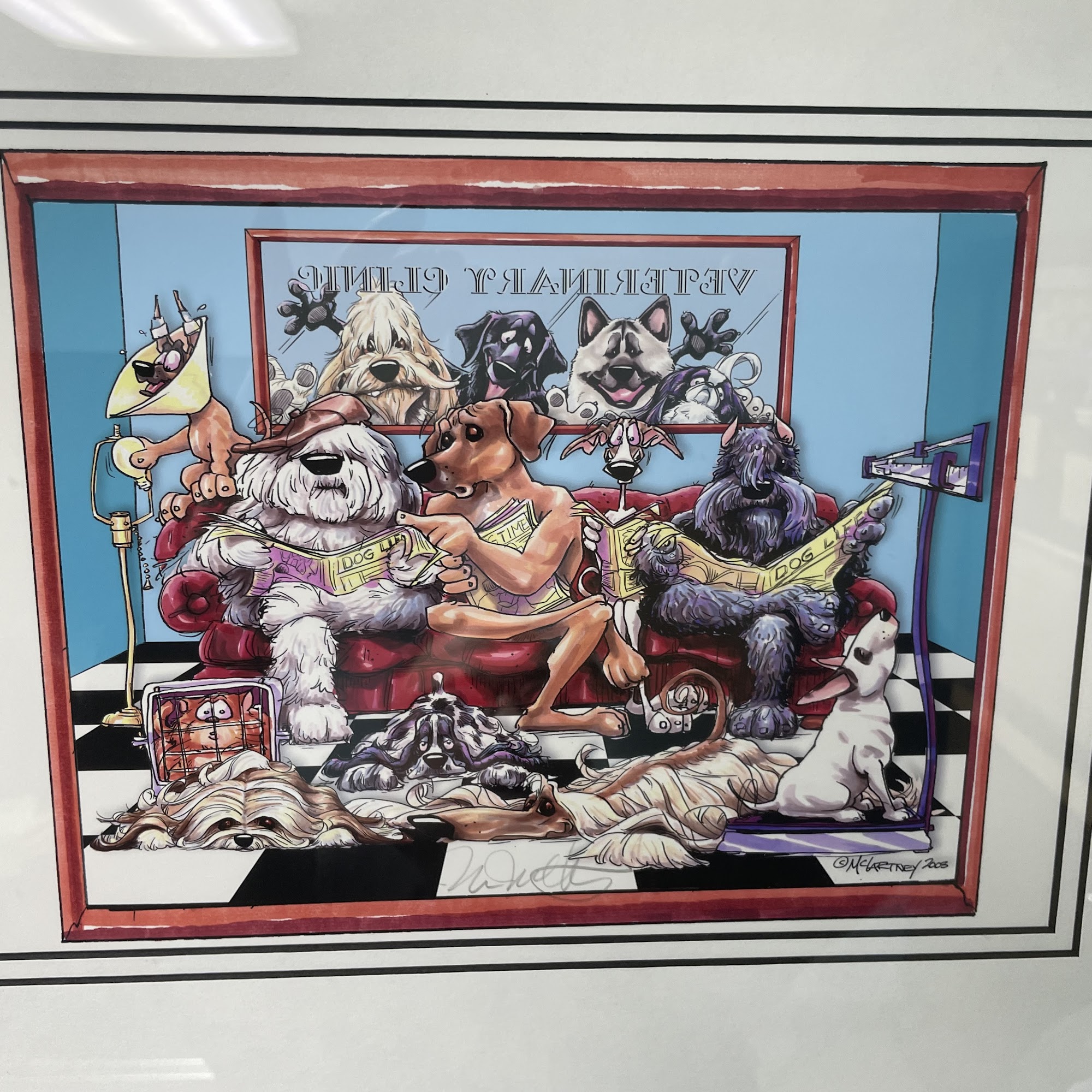 Northwest Animal Hospital Des Plaines