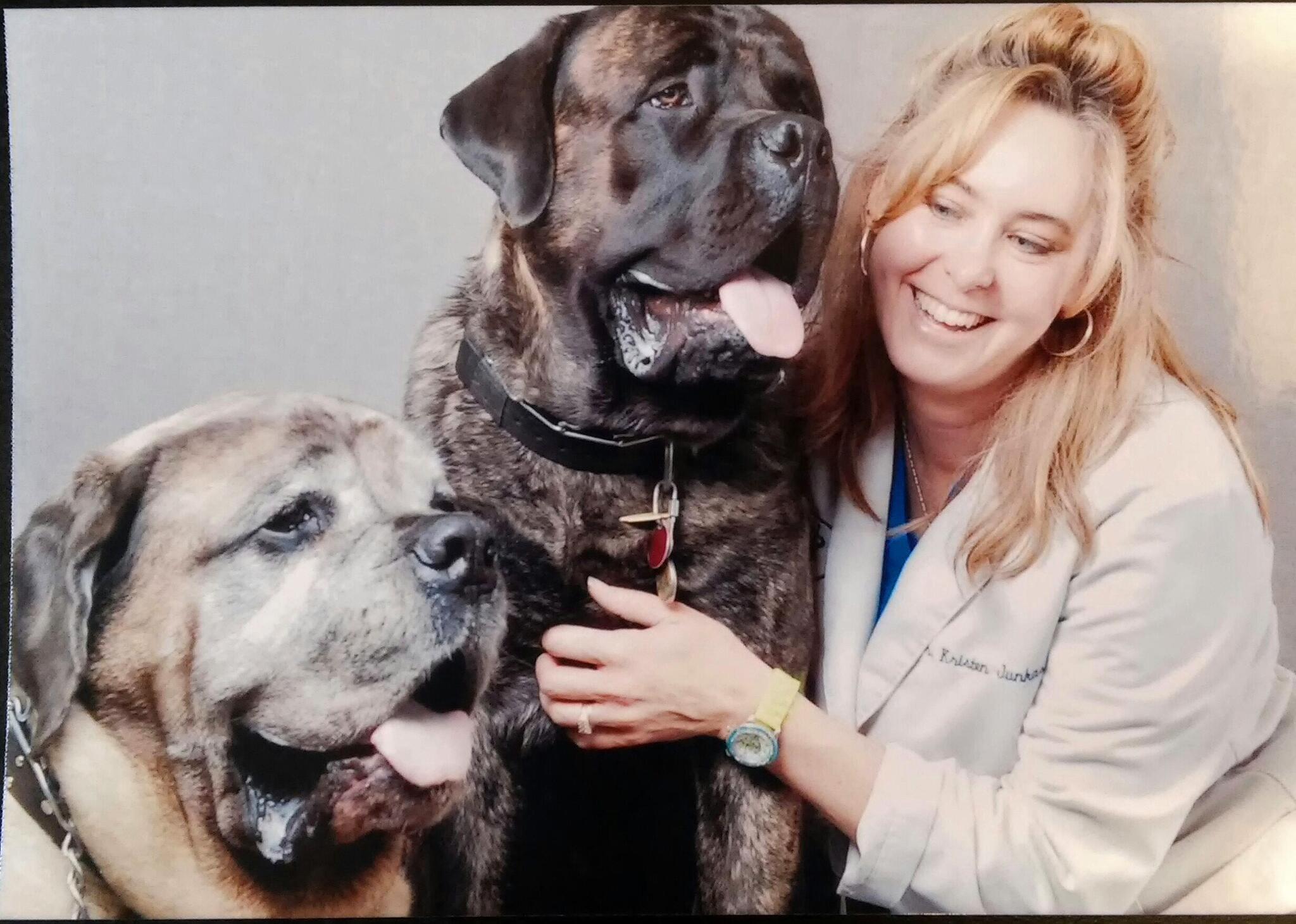 Wright Animal Hospital Des Plaines