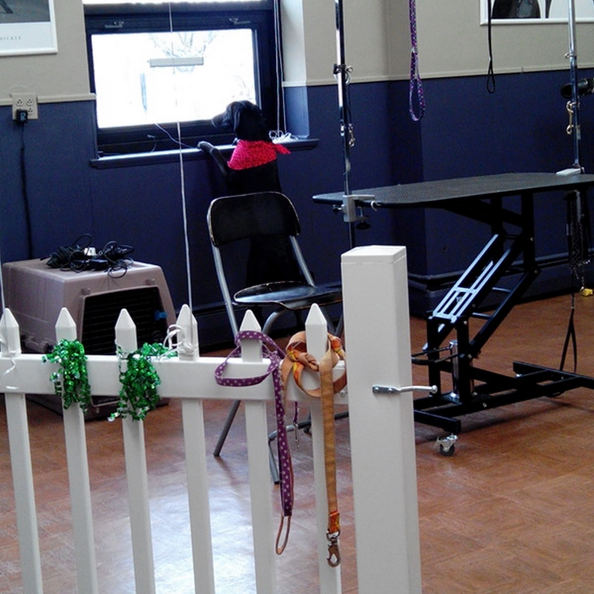 Happy Dog Grooming Spa Des Plaines