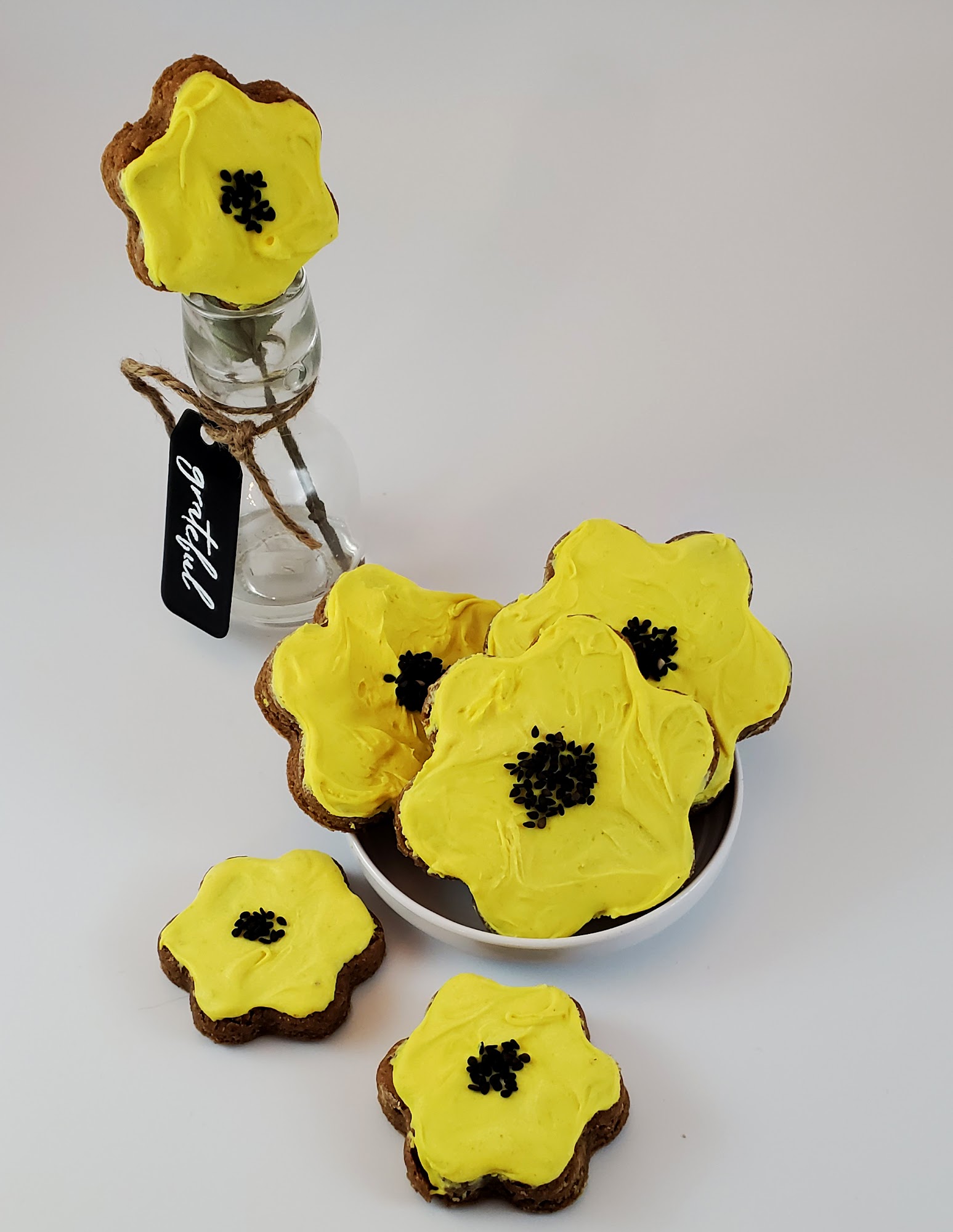 Diggity Dawg Bakery Dixon