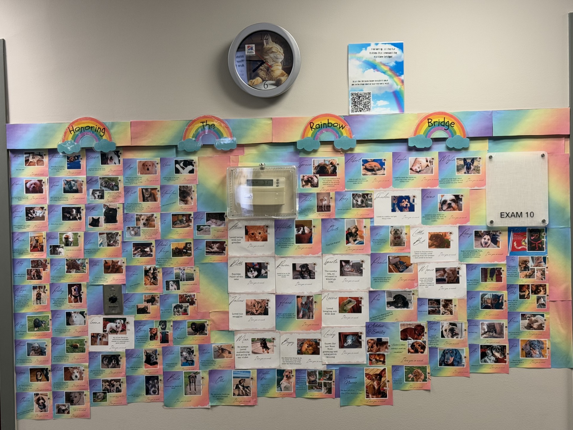 VCA Arboretum View Animal Hospital Downers Grove