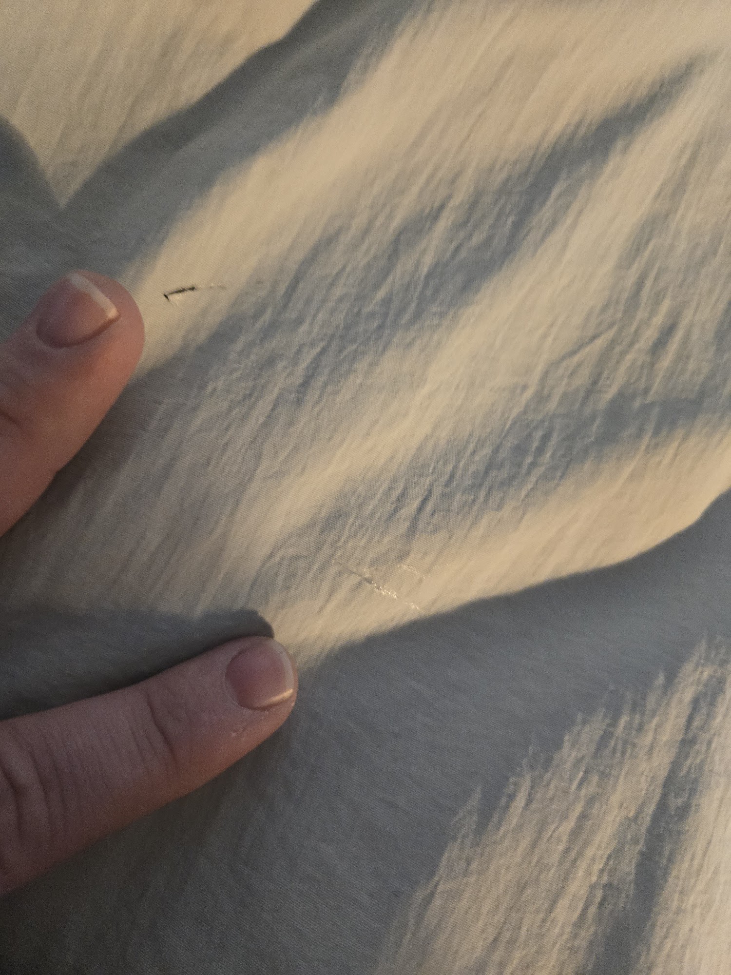 Curtiss Dry Cleaning