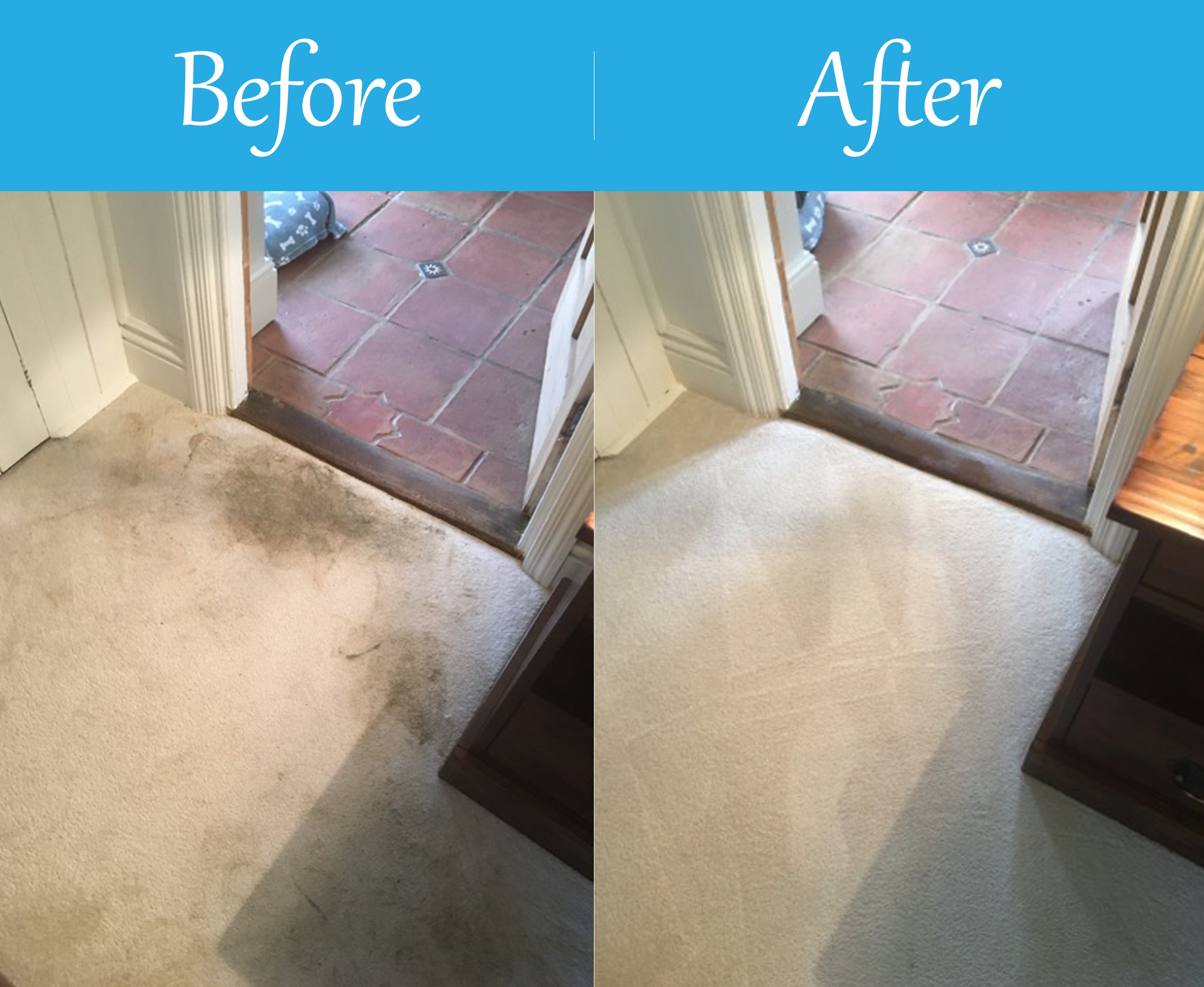 Pro Carpet Cleaning