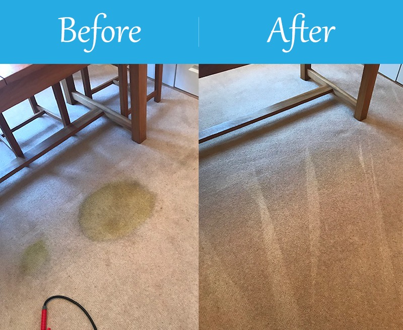 Pro Carpet Cleaning