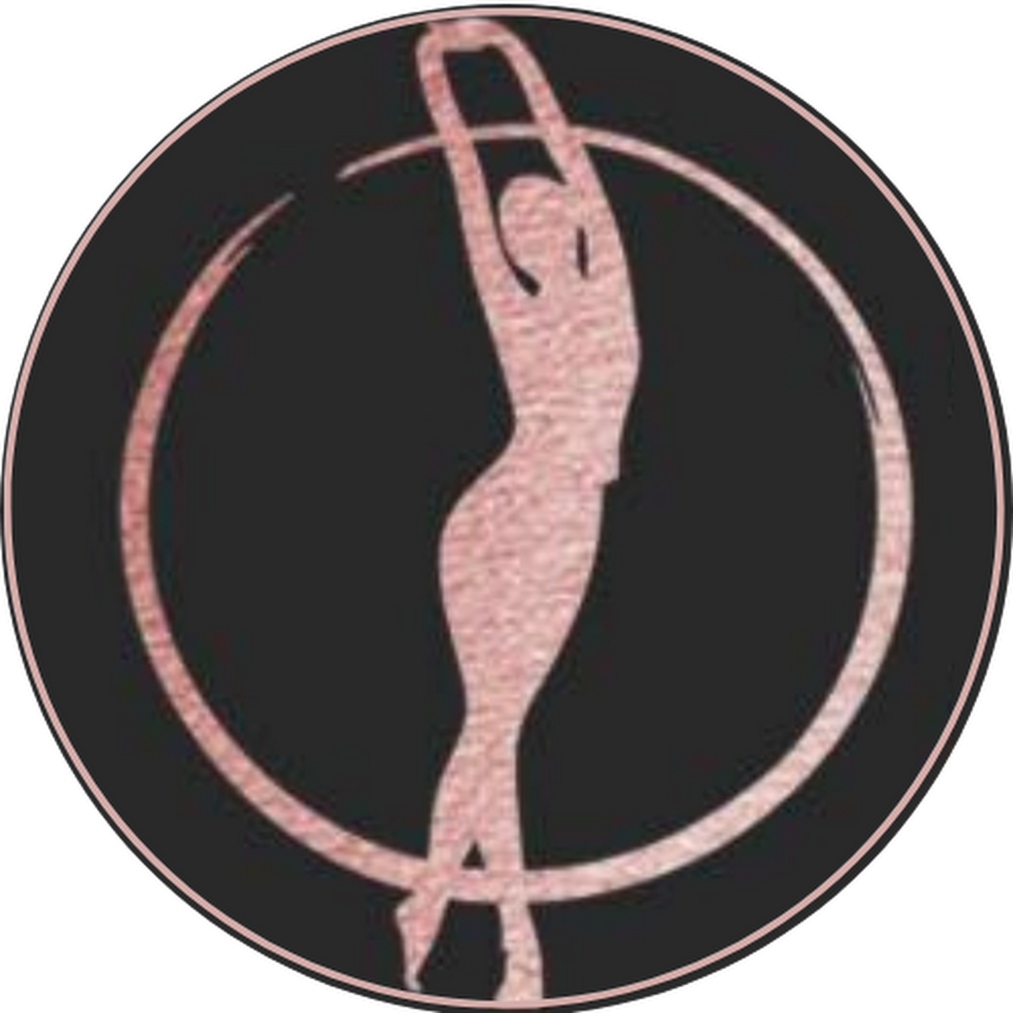 Two Skin & Body 1001 Ogden Ave Suite 200, Downers Grove Illinois 60515