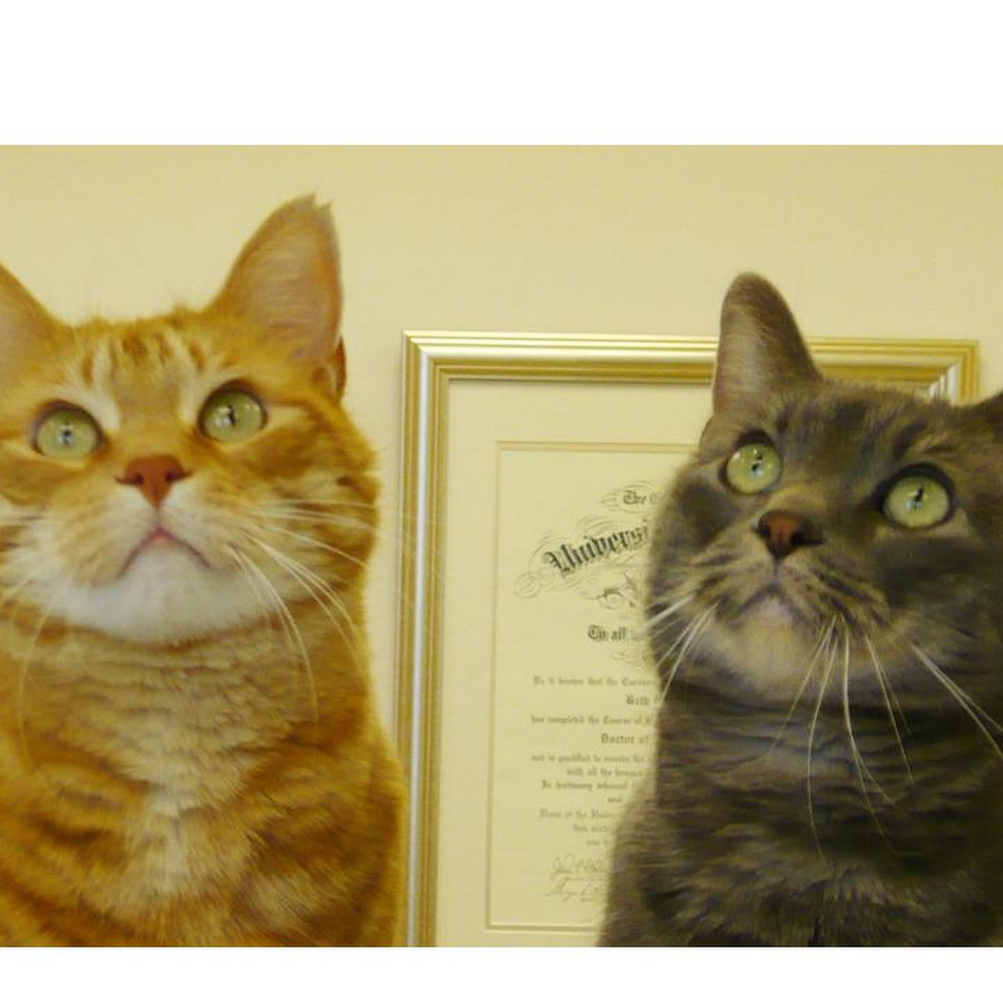 East Side Animal Hospital pc East Peoria