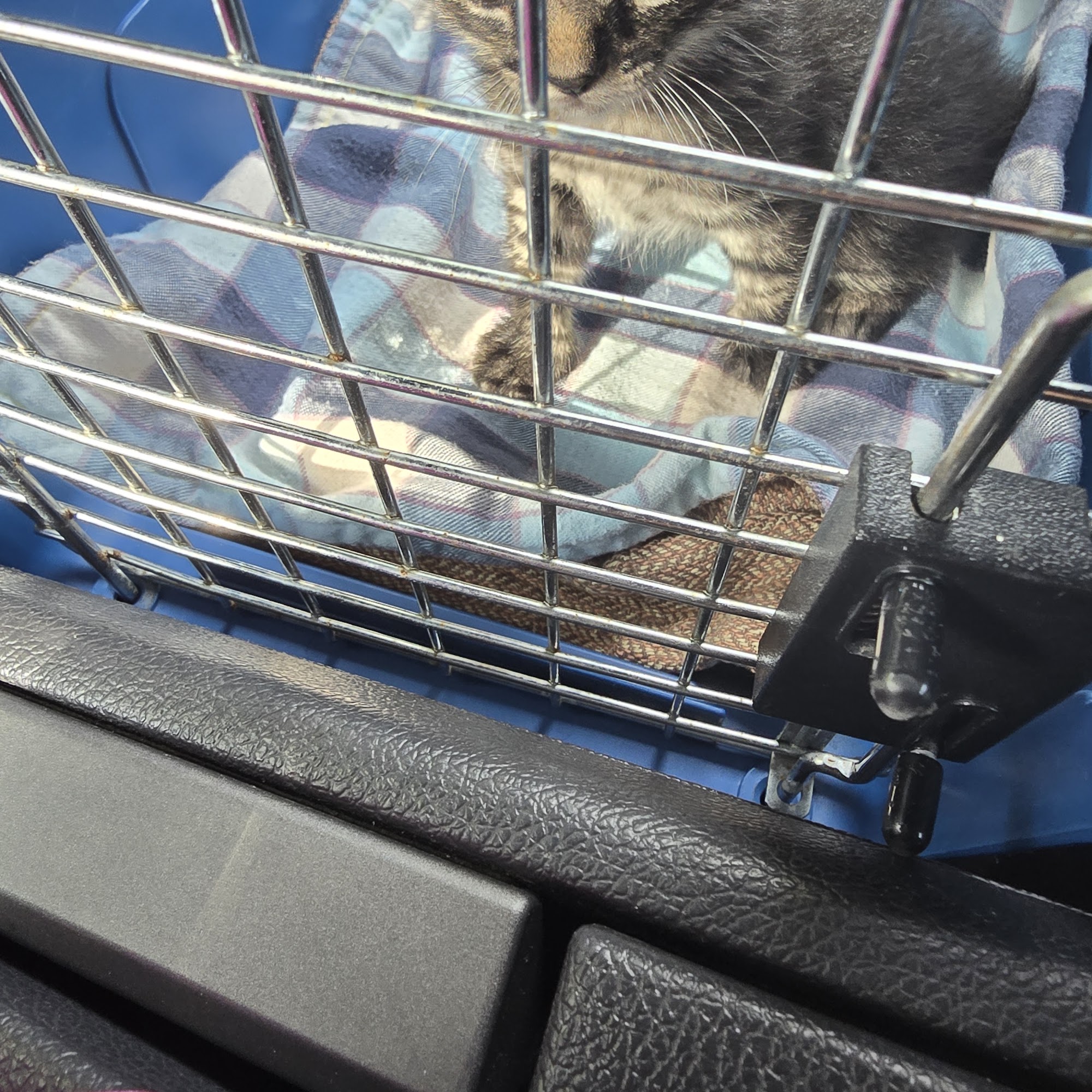 Metro East Humane Society Edwardsville