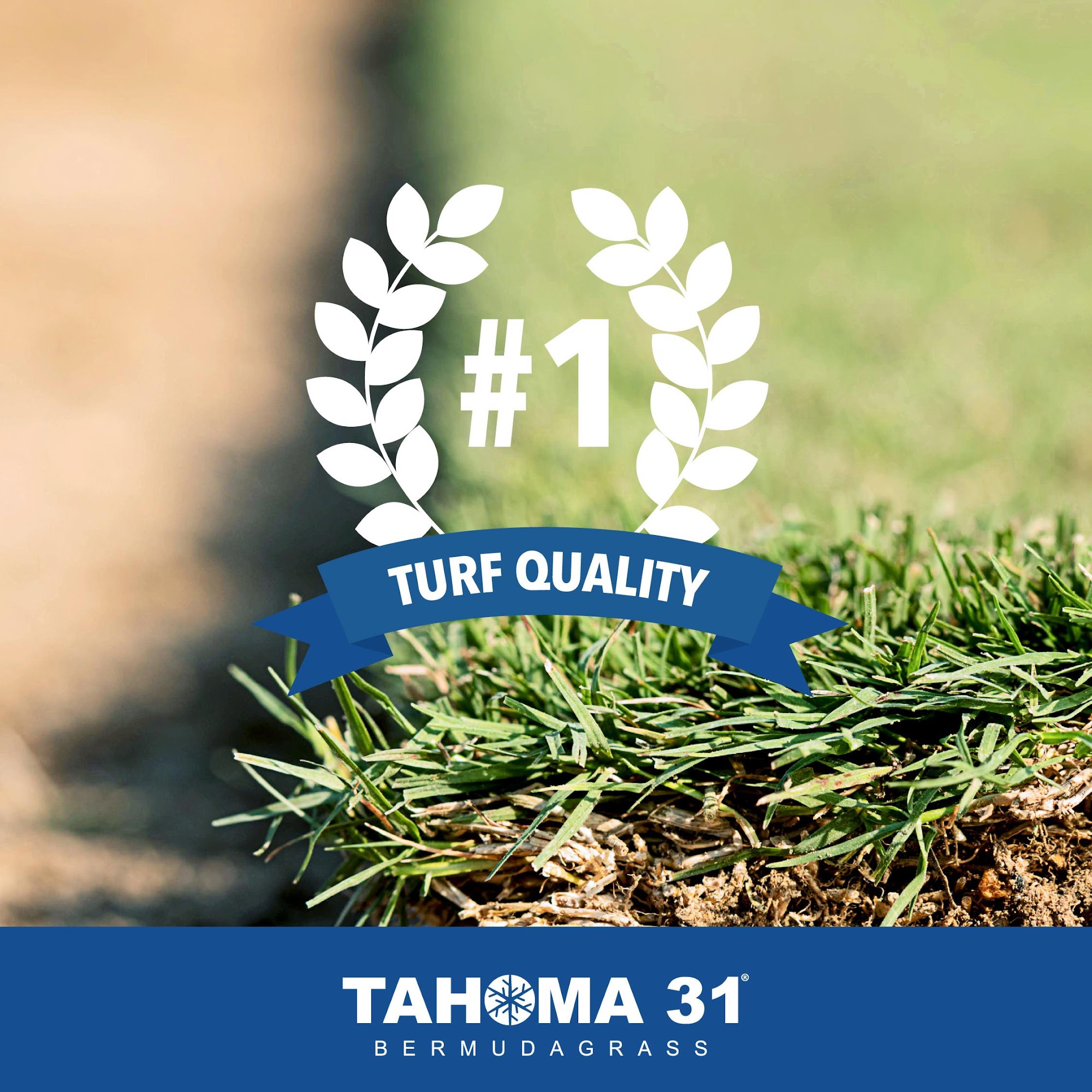 Brockmeier Sod Farms