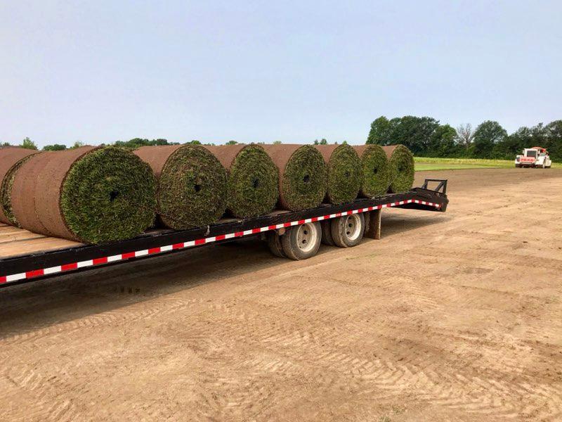 Brockmeier Sod Farms