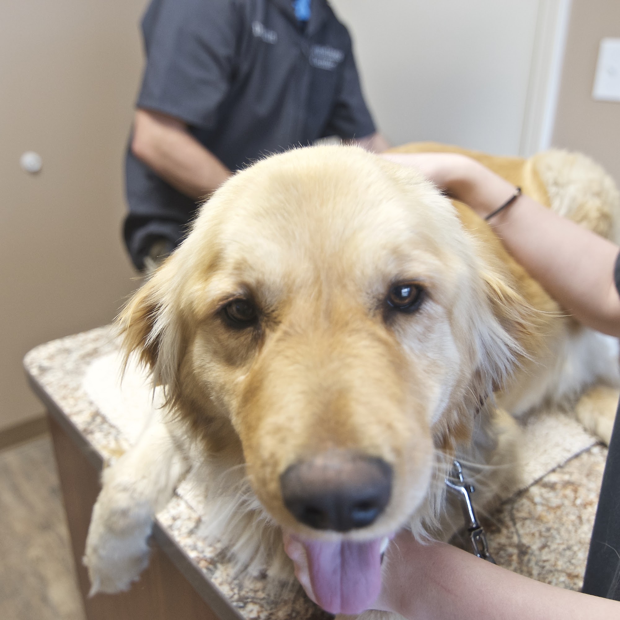 Pet Wellness Center of Southern Illinois Effingham