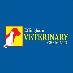 Effingham Veterinary Clinic: Ely Chad DVM Effingham