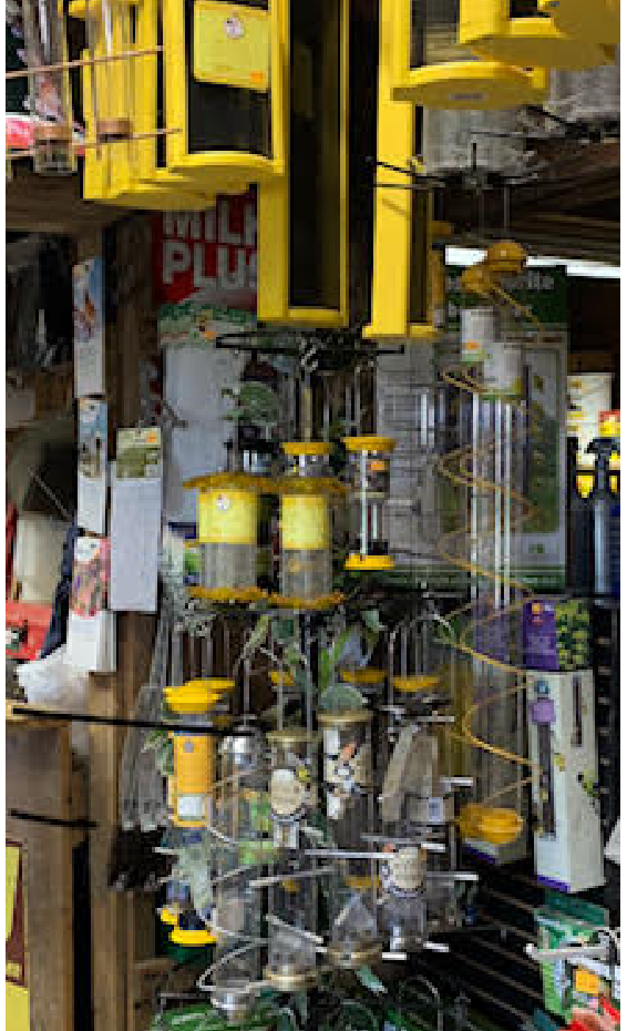 Johnsen's Farm & Country Store Elburn