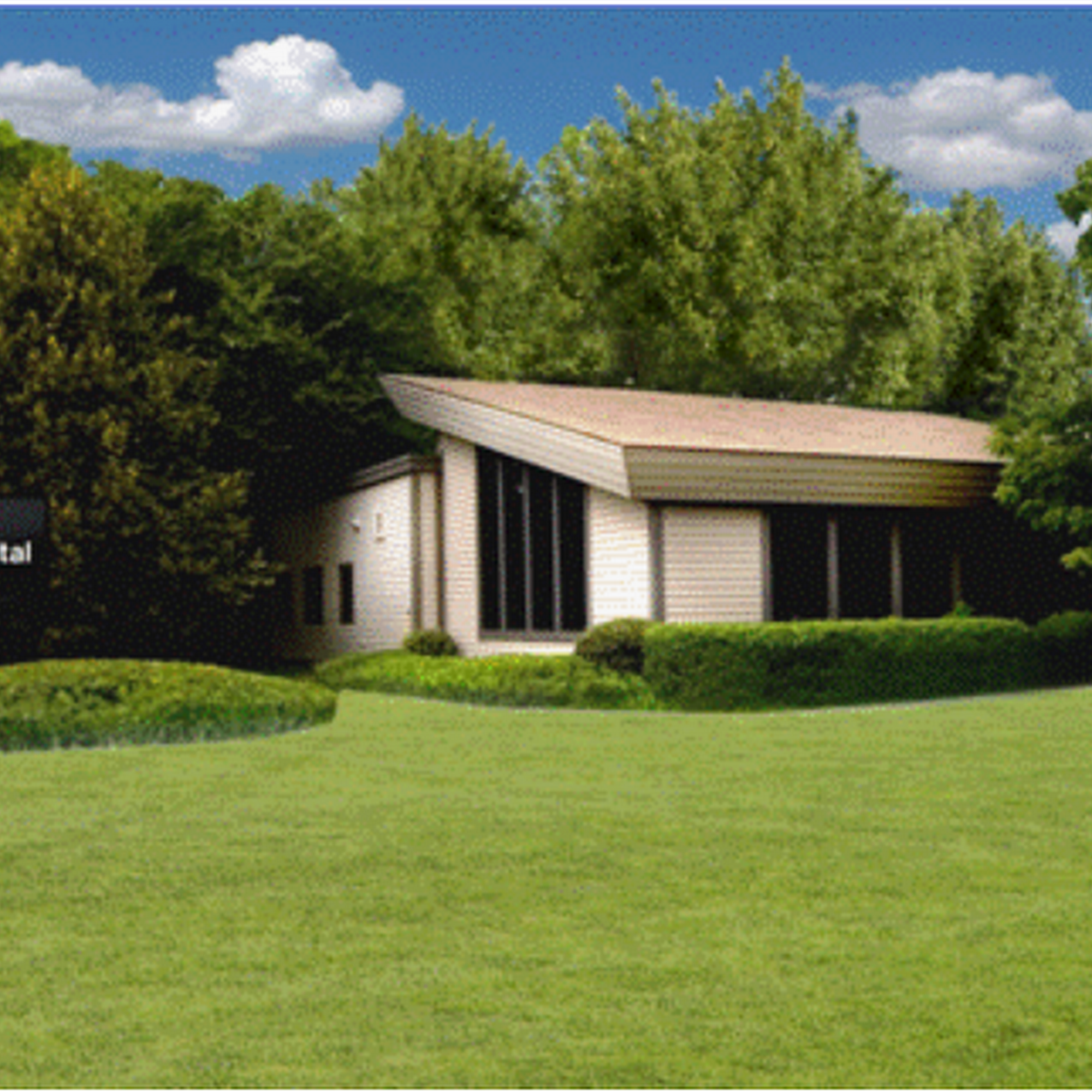 Dundee Animal Hospital of Elgin Elgin