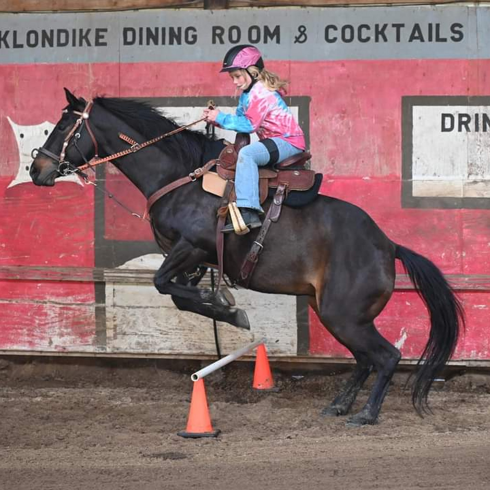 Kendall Road Equine Hospital Elgin