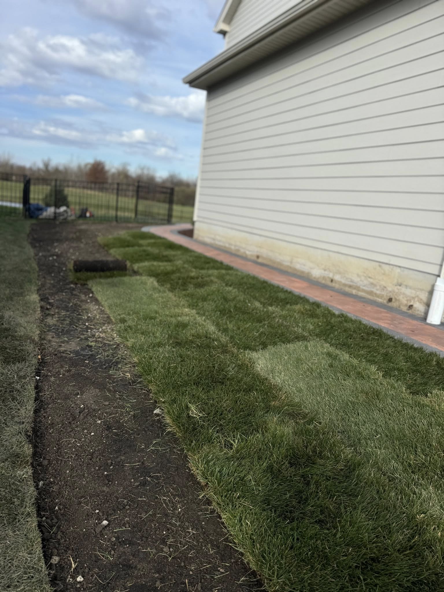 Sifuentes Lawn Maintenance